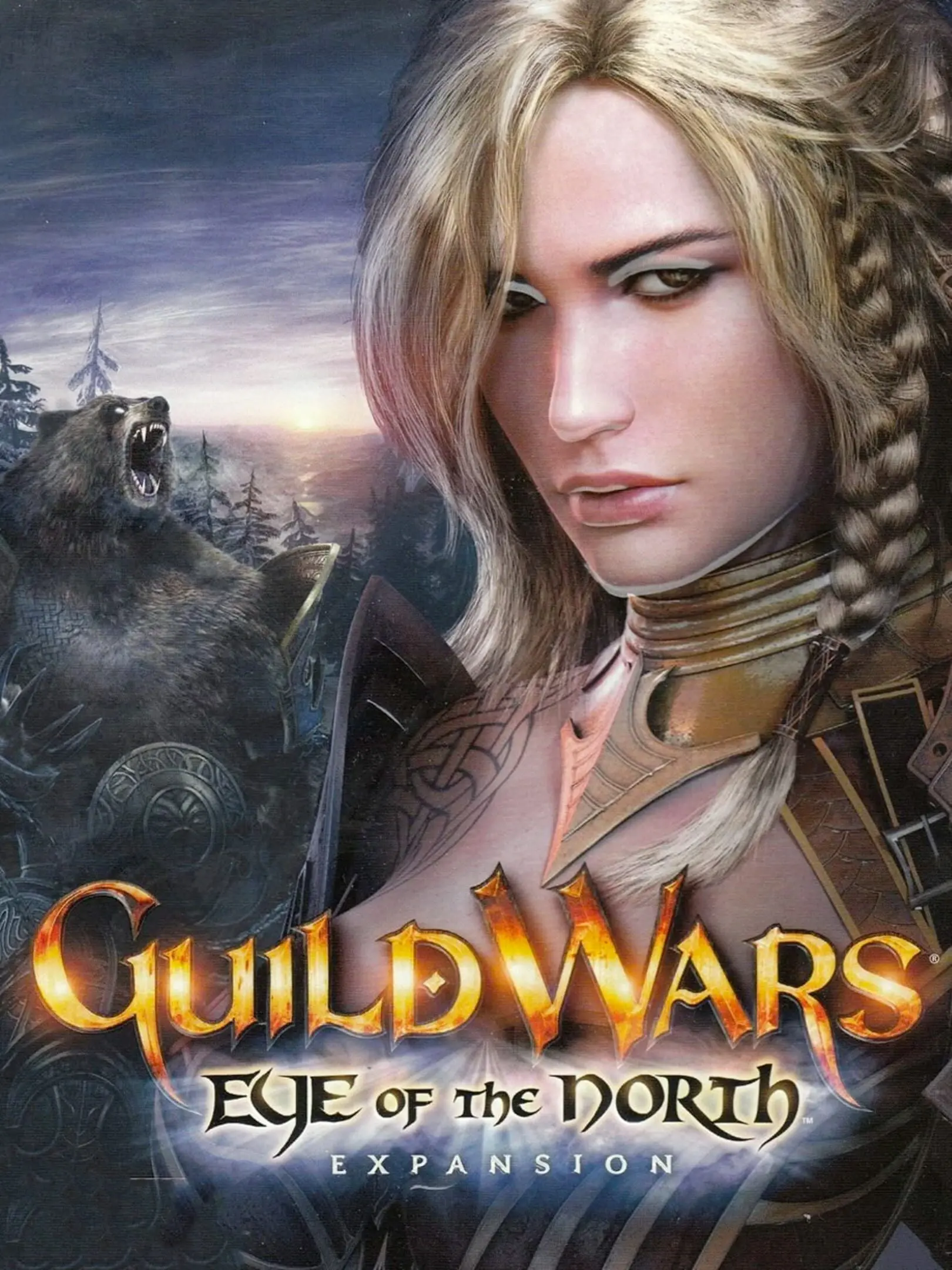 Picture of Guild Wars Eye of the North