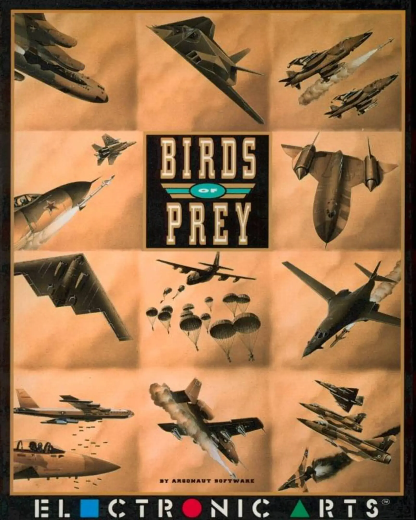 Picture of Birds Of Prey