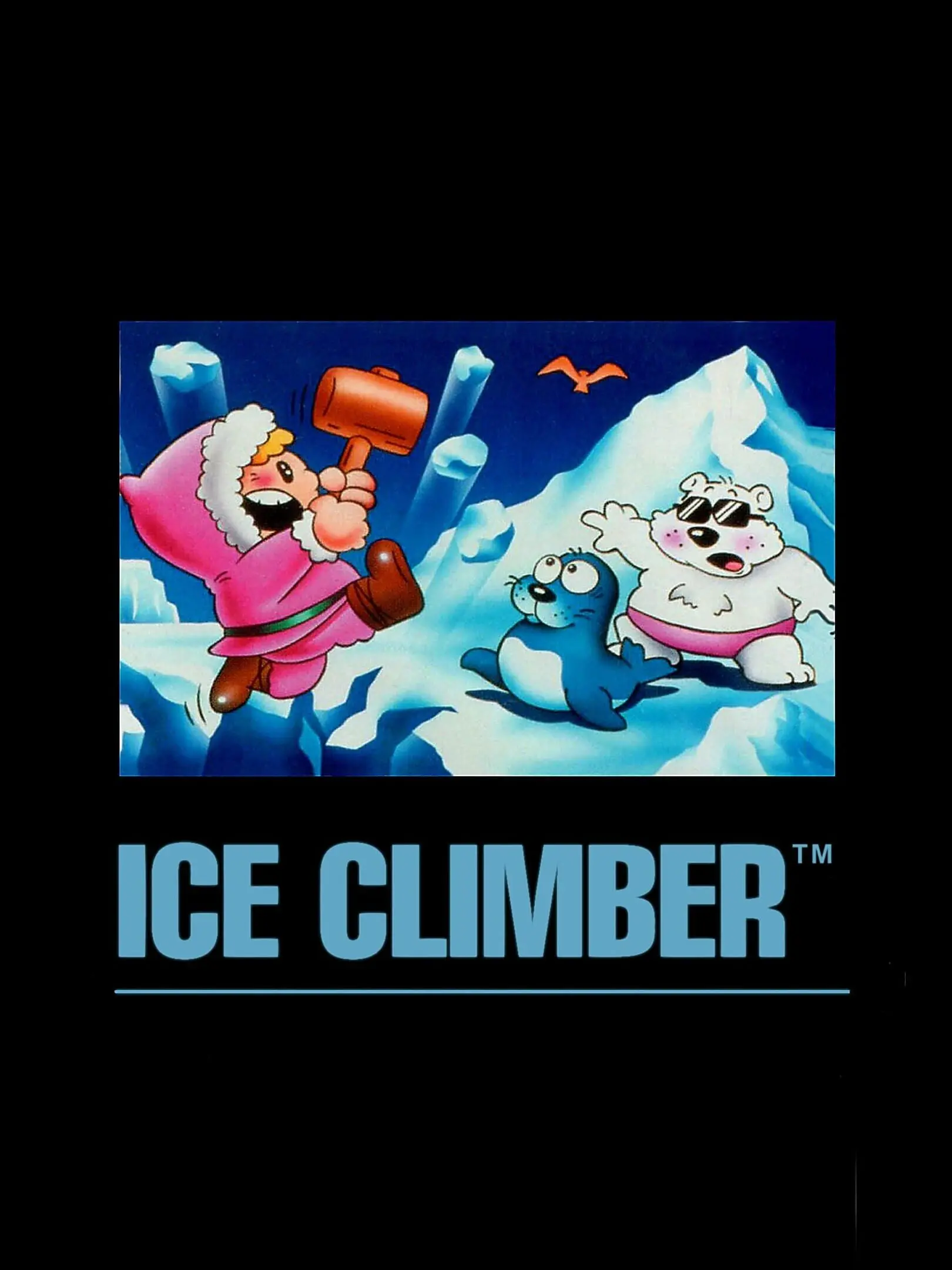 Picture of Ice Climber (3)