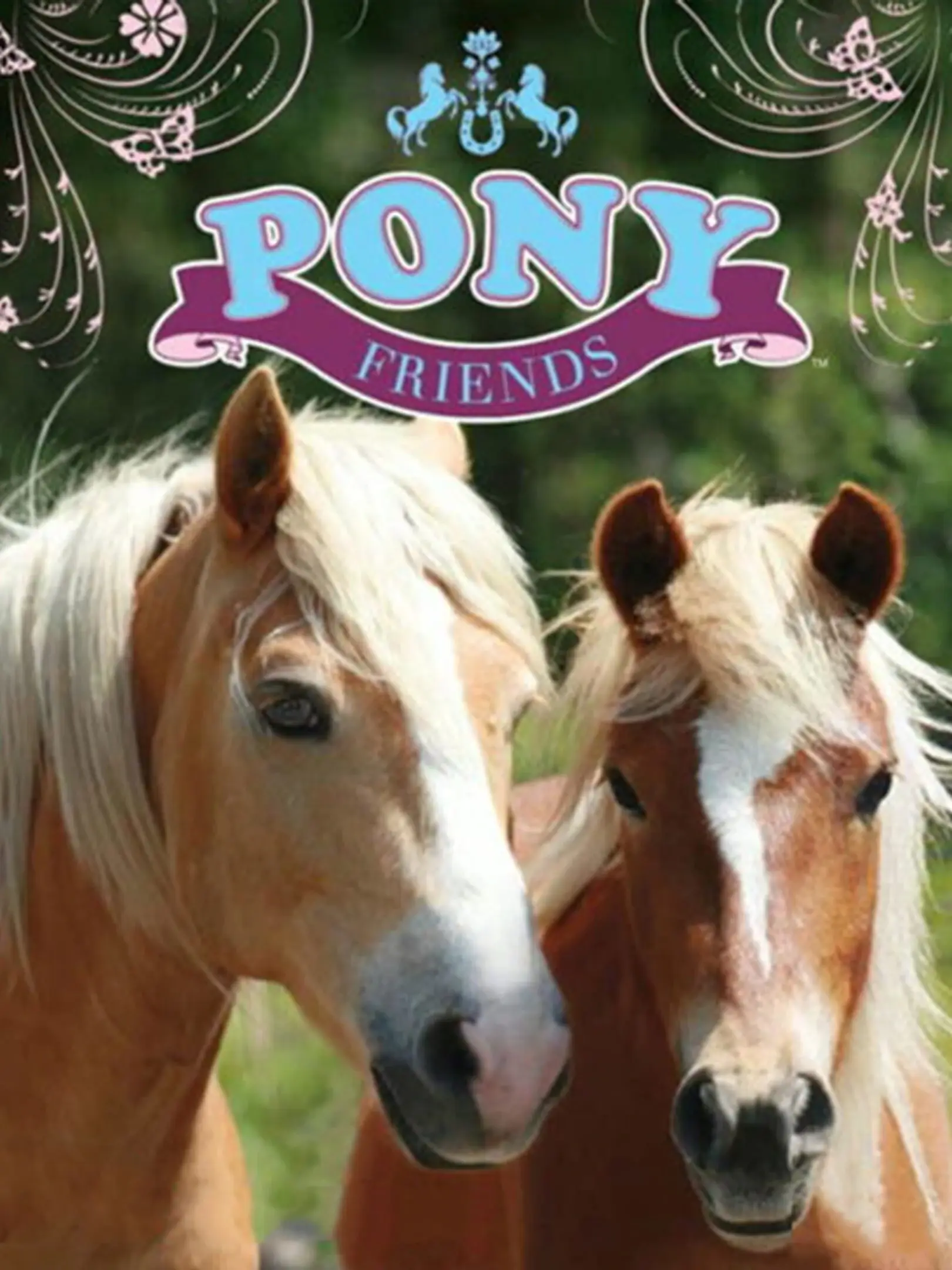 Picture of Pony Friends