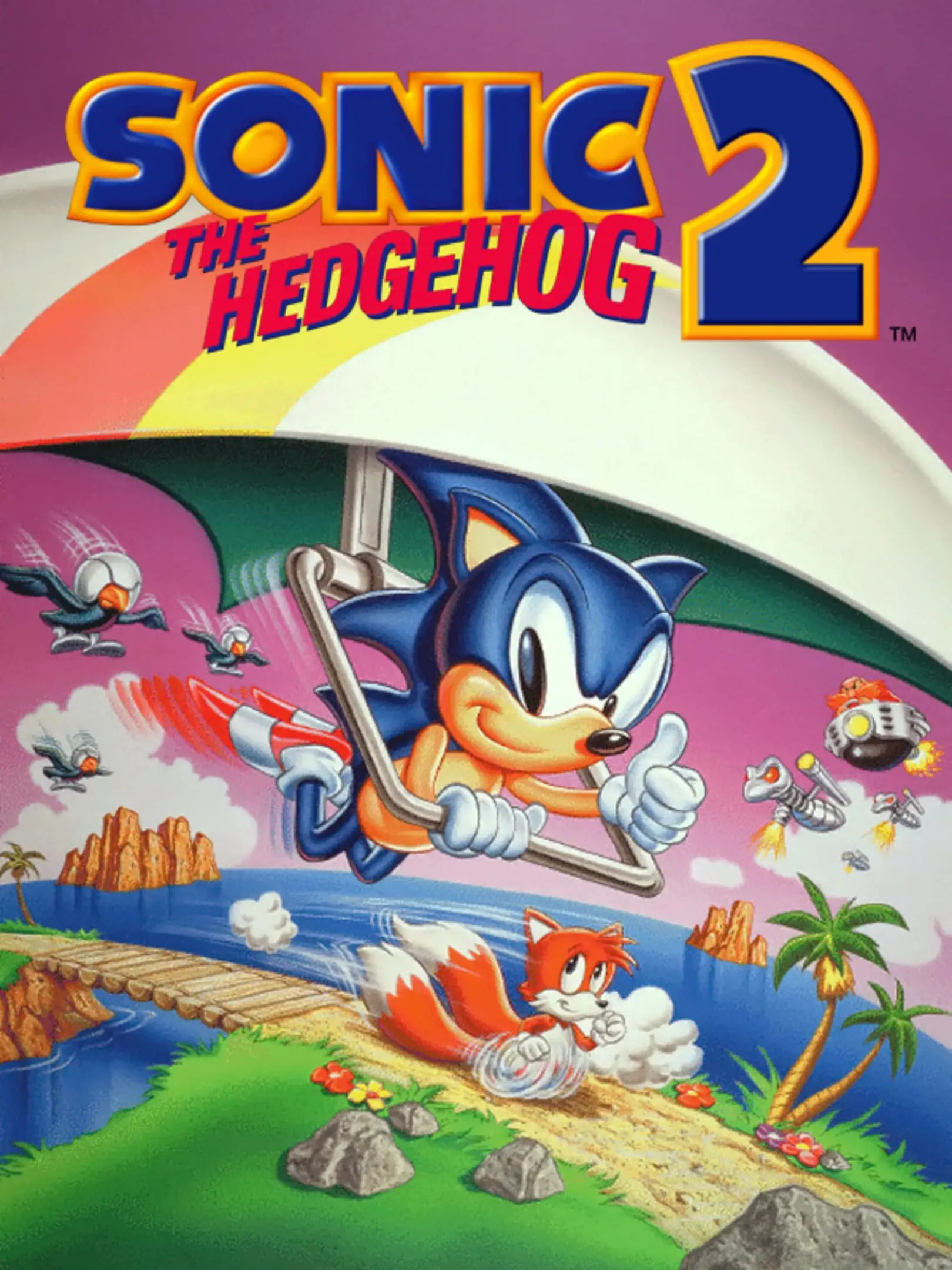 Baramdori Sonic 2