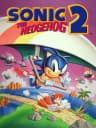 Picture of Baramdori Sonic 2