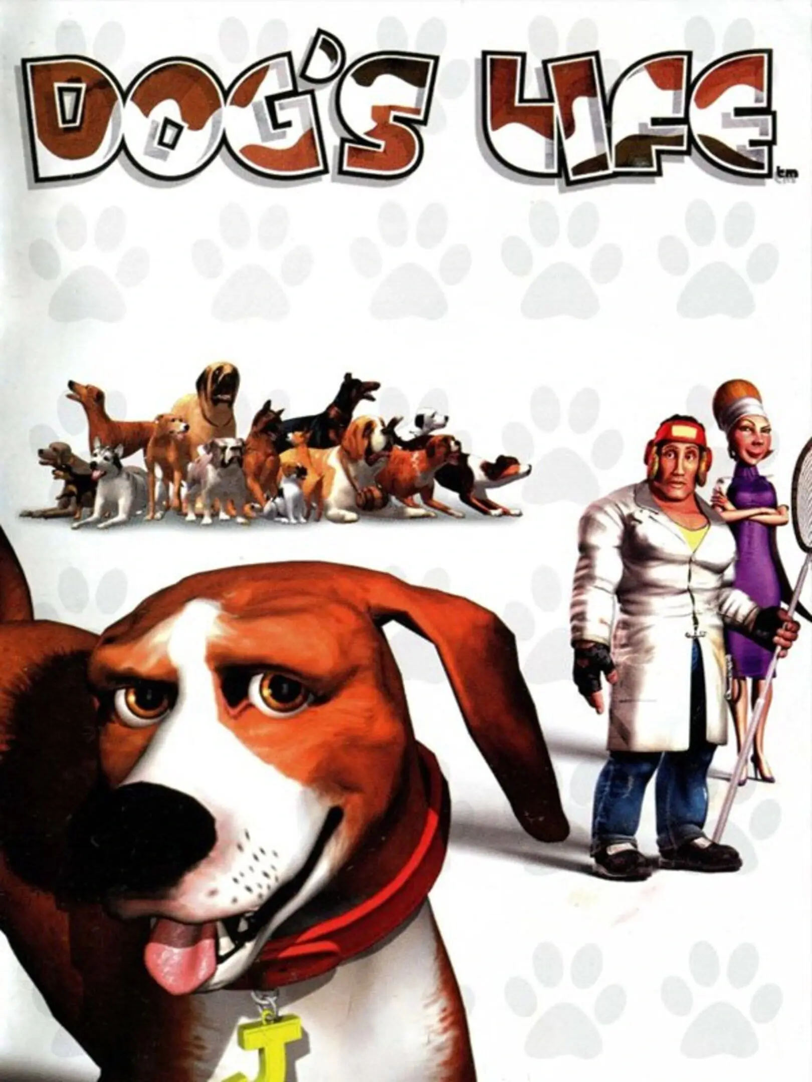 Picture of Dog's Life