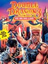 Picture of Double Dragon 3: The Arcade Game