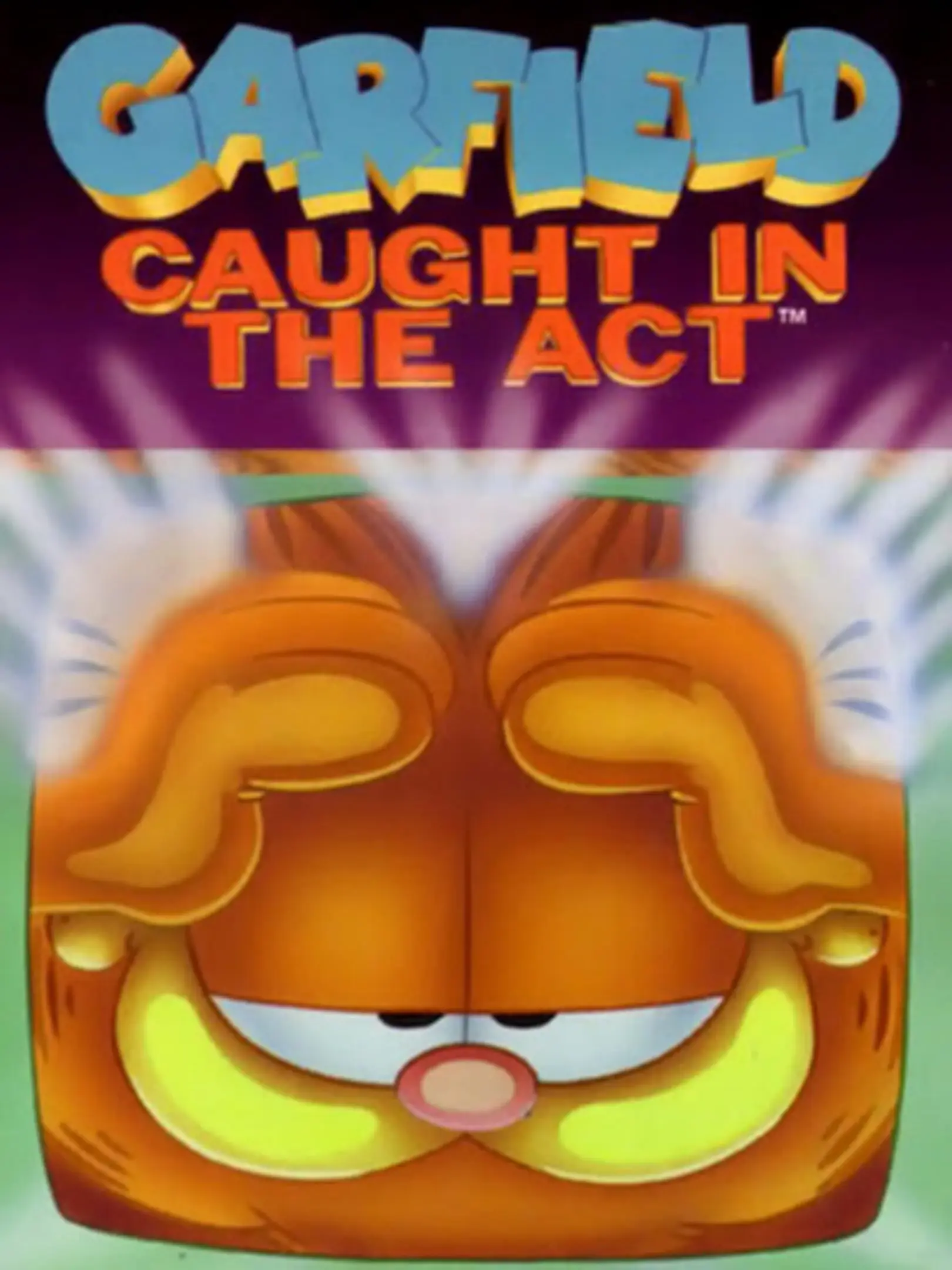 Picture of Garfield: Caught in the Act