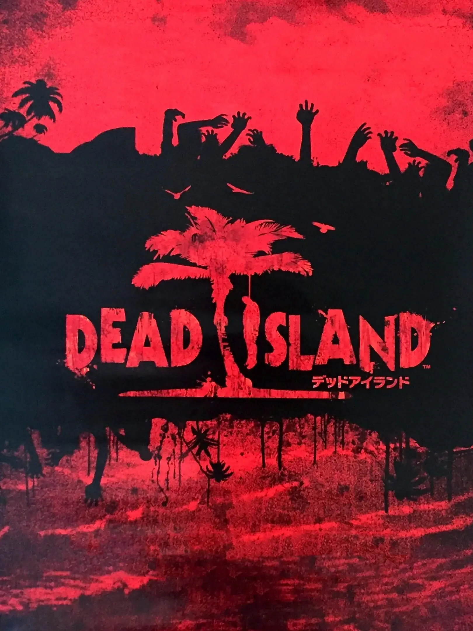 Picture of Dead Island (2)