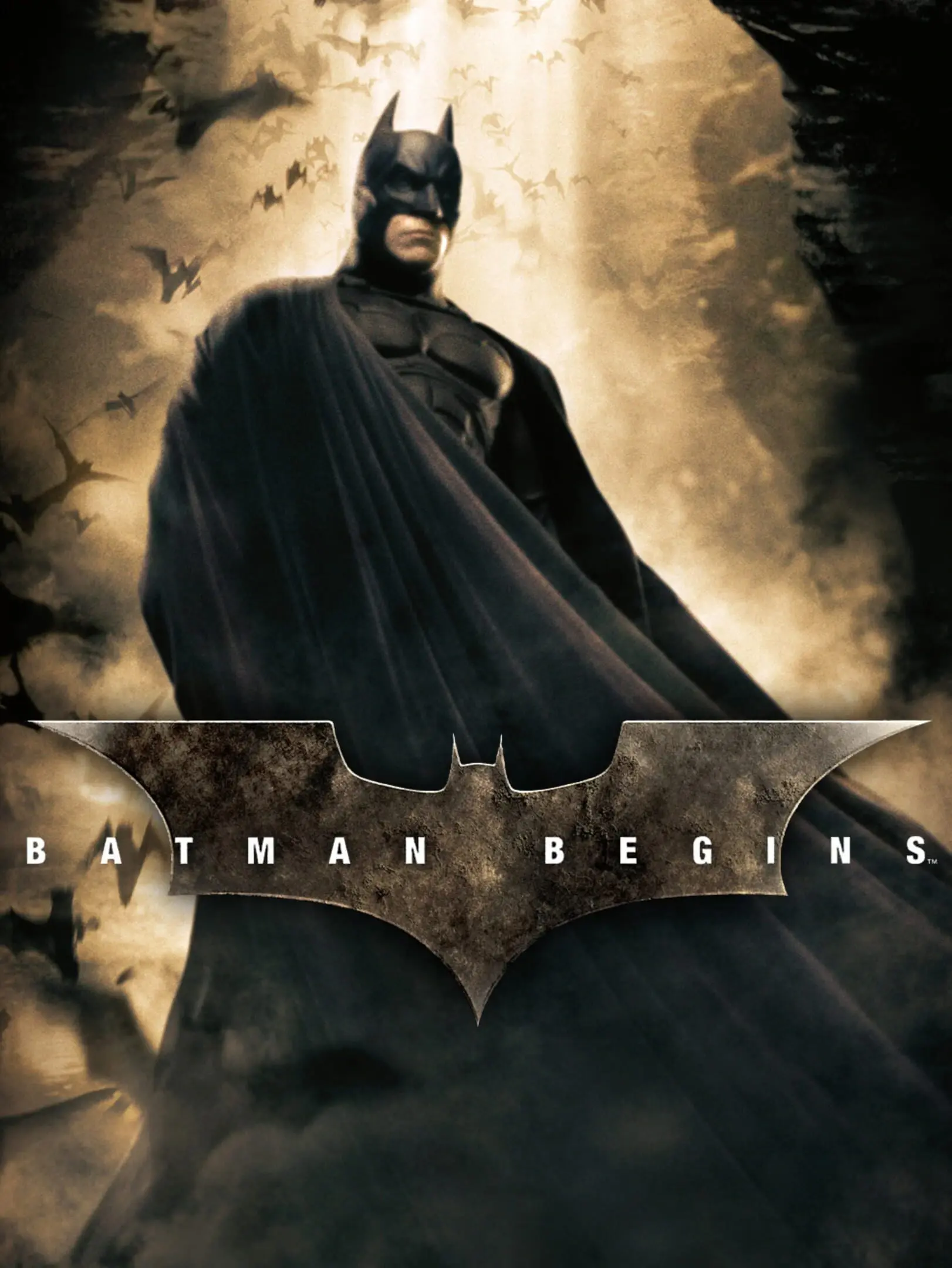 Picture of Batman Begins