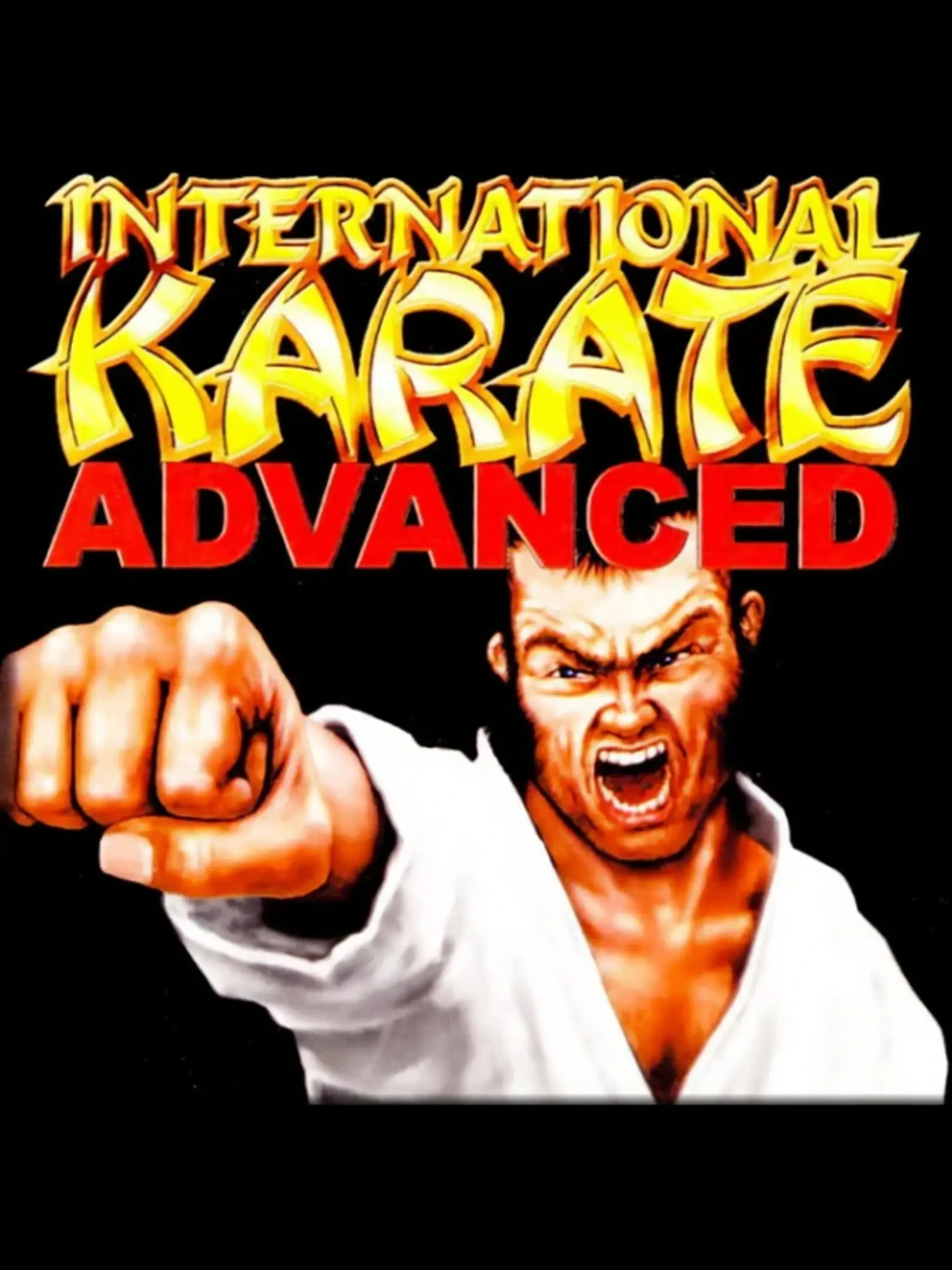 Picture of International Karate Advanced