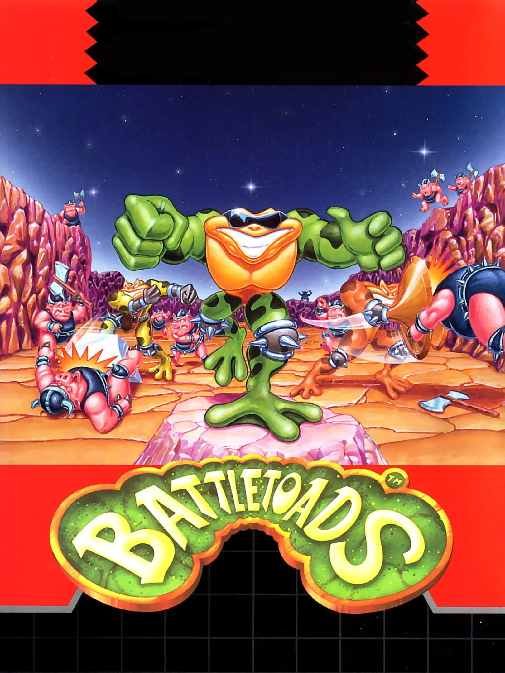 Picture of Battletoads (3)