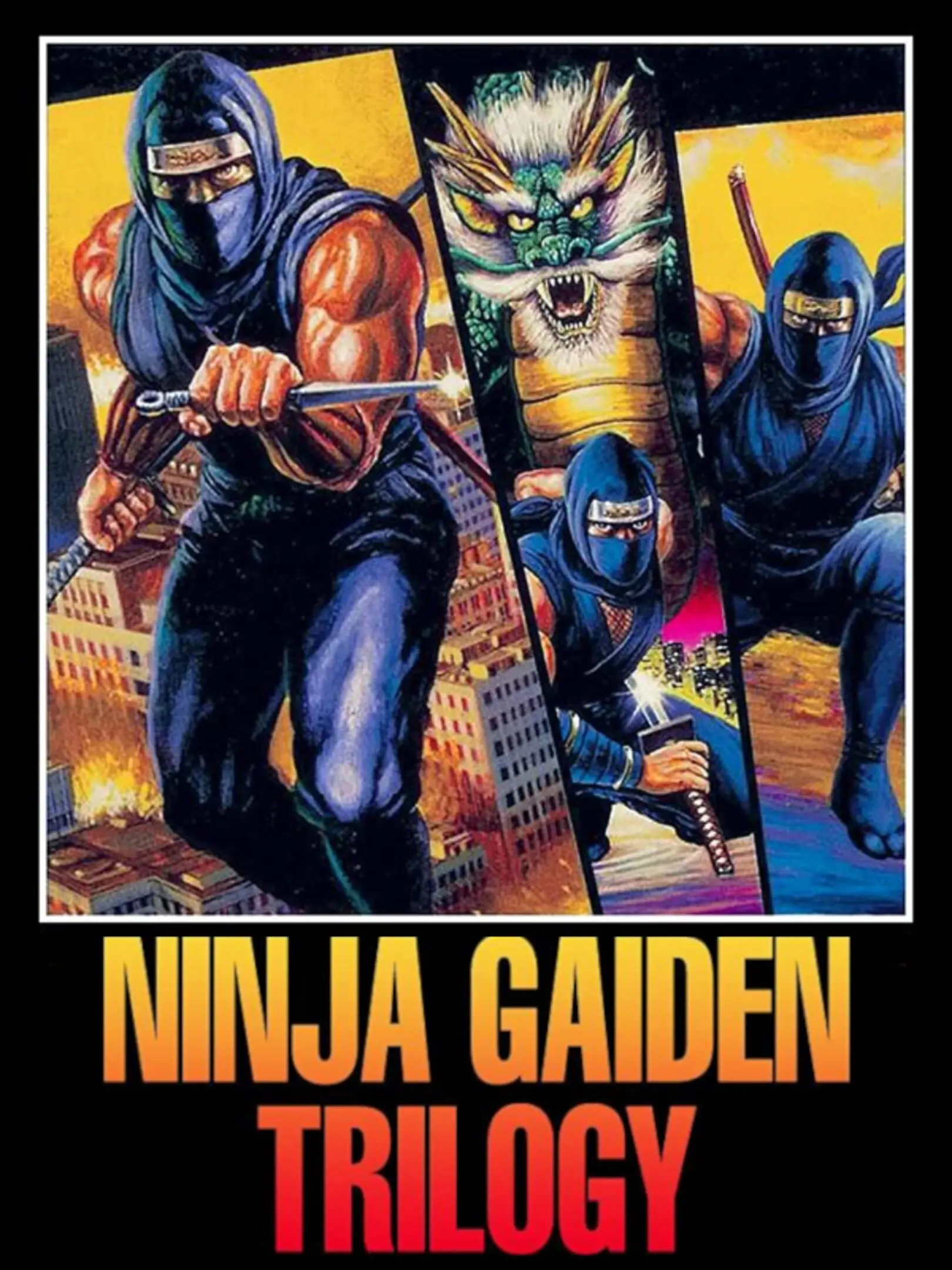 Picture of Ninja Ryukenden Tomoe