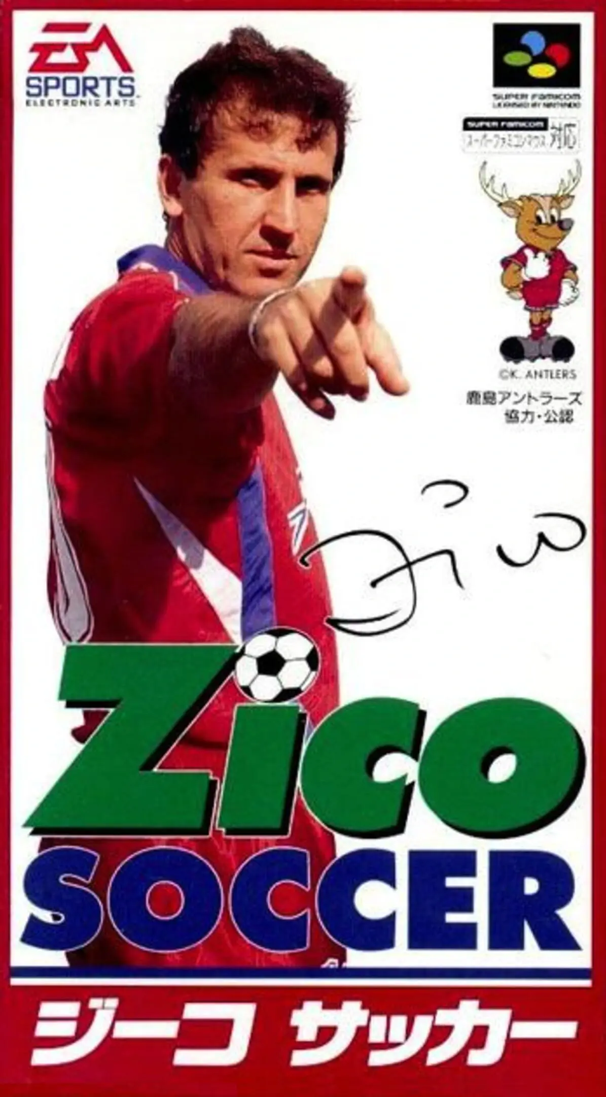 Picture of Zico Soccer