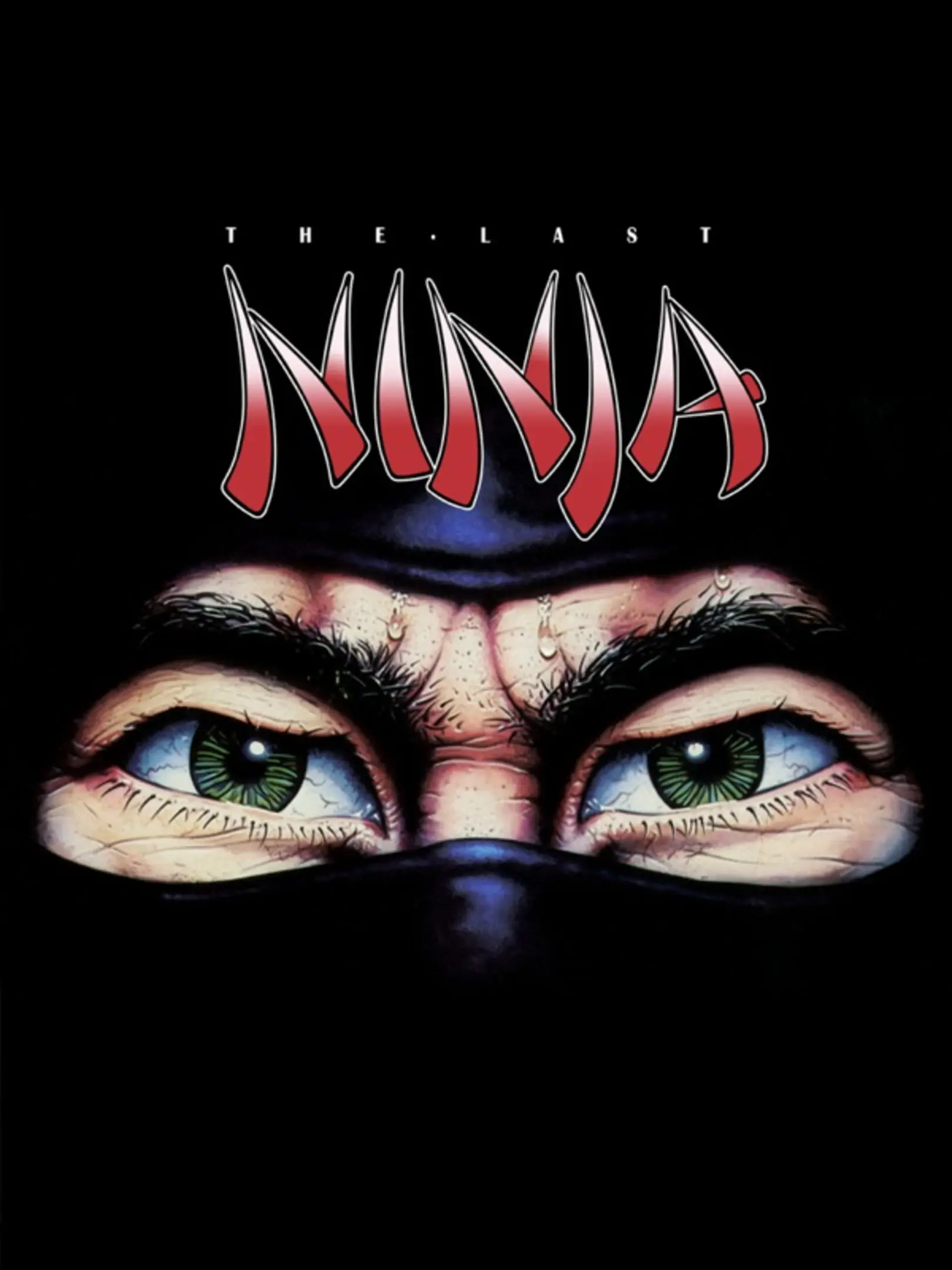 Picture of The Last Ninja
