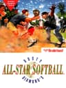 Picture of Dusty Diamond's All-Star Softball