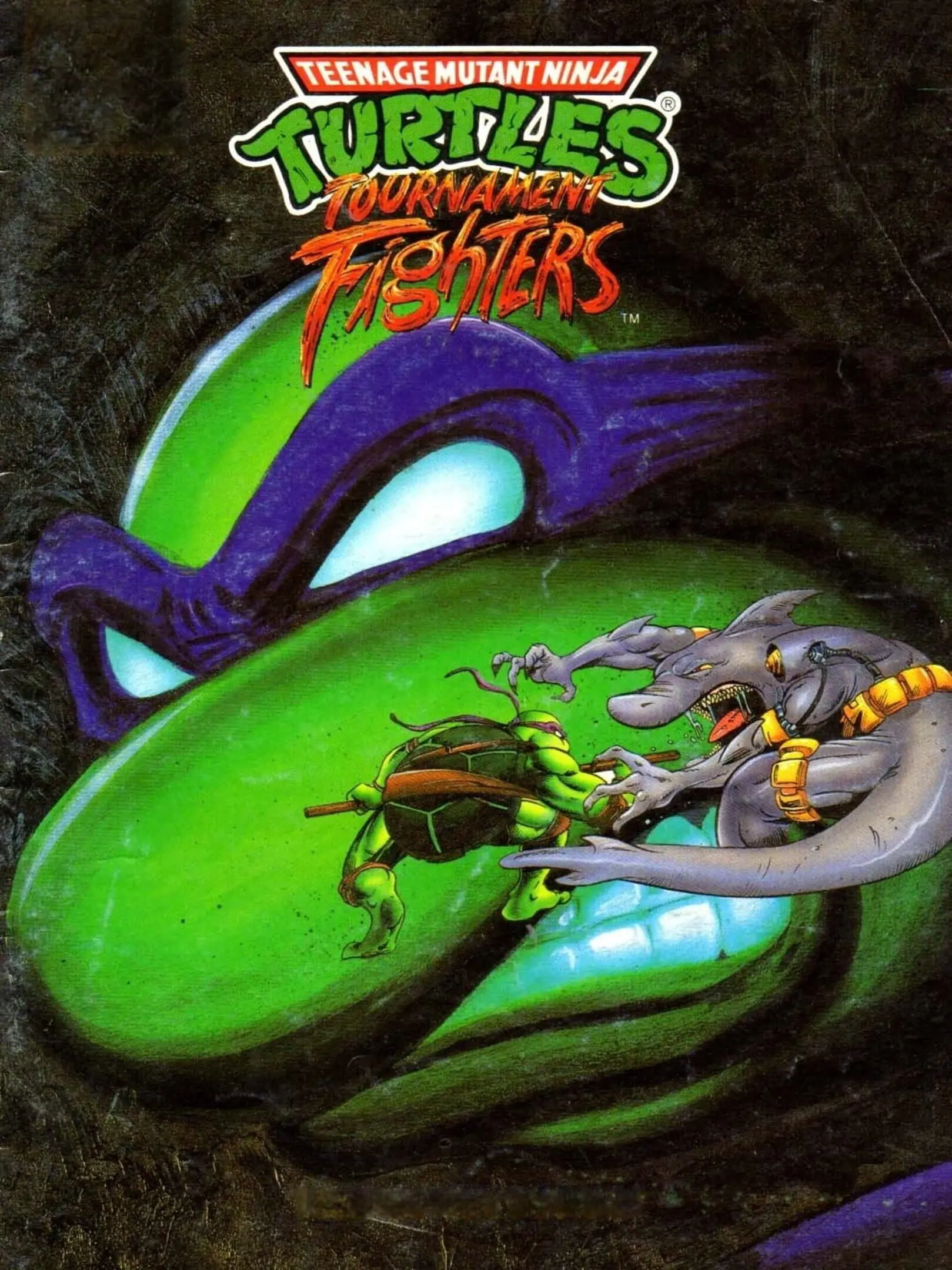 Teenage Mutant Hero Turtles: Tournament Fighters