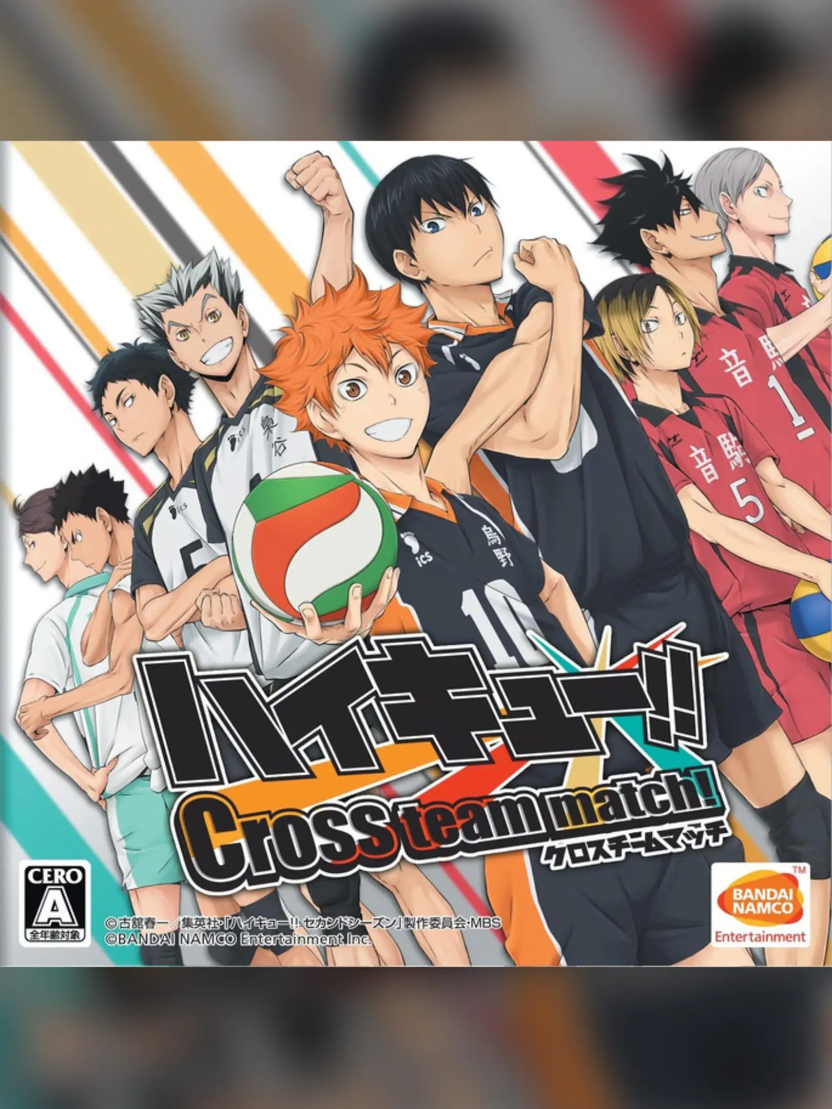 Haikyu!! Cross Team Match!