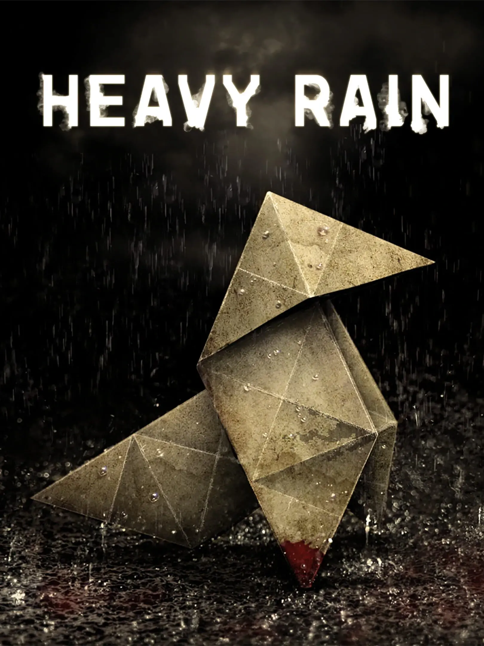 Picture of Heavy Rain (2)