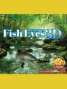 Picture of Fish Eyes 3D