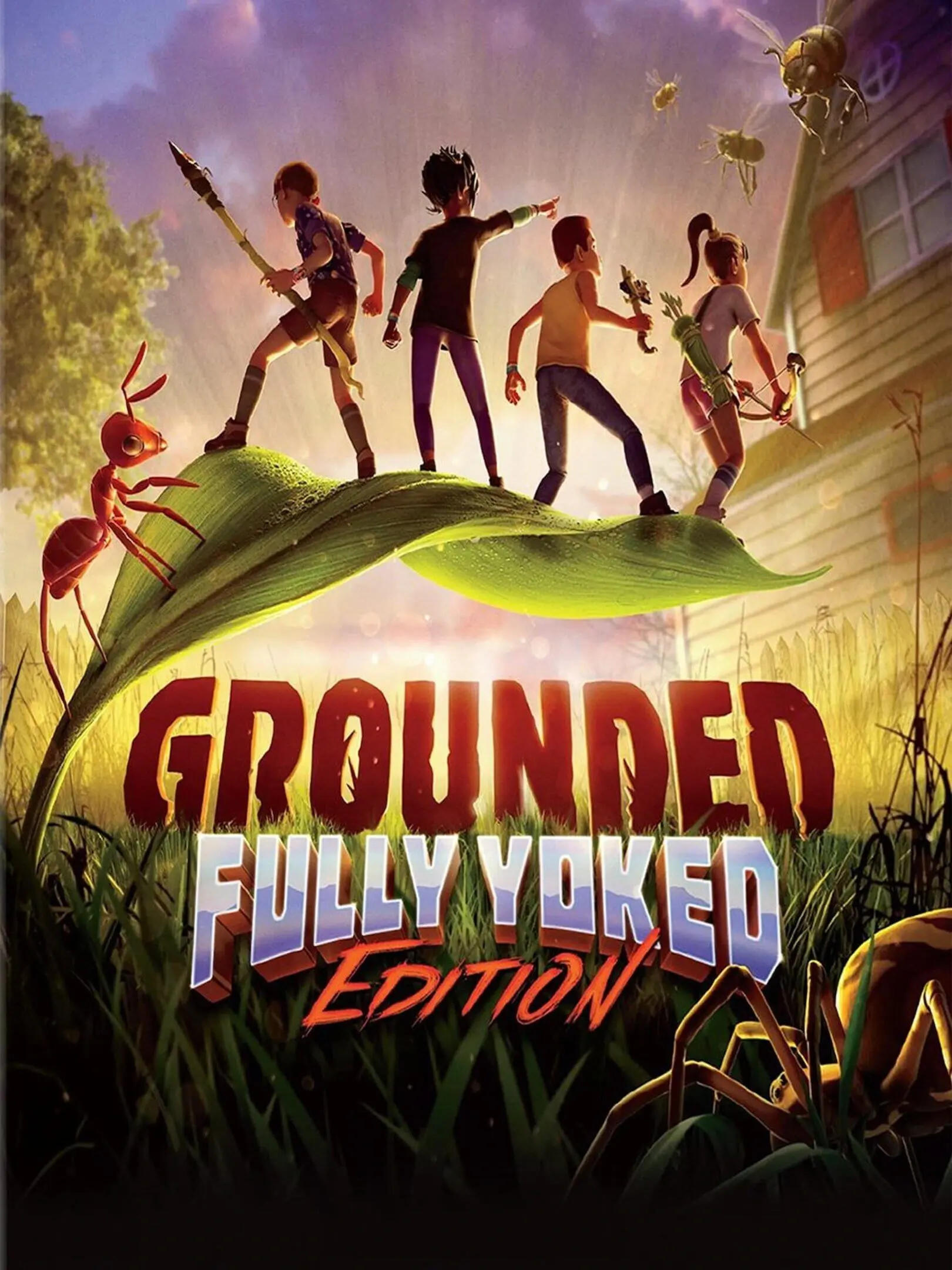 Picture of Grounded