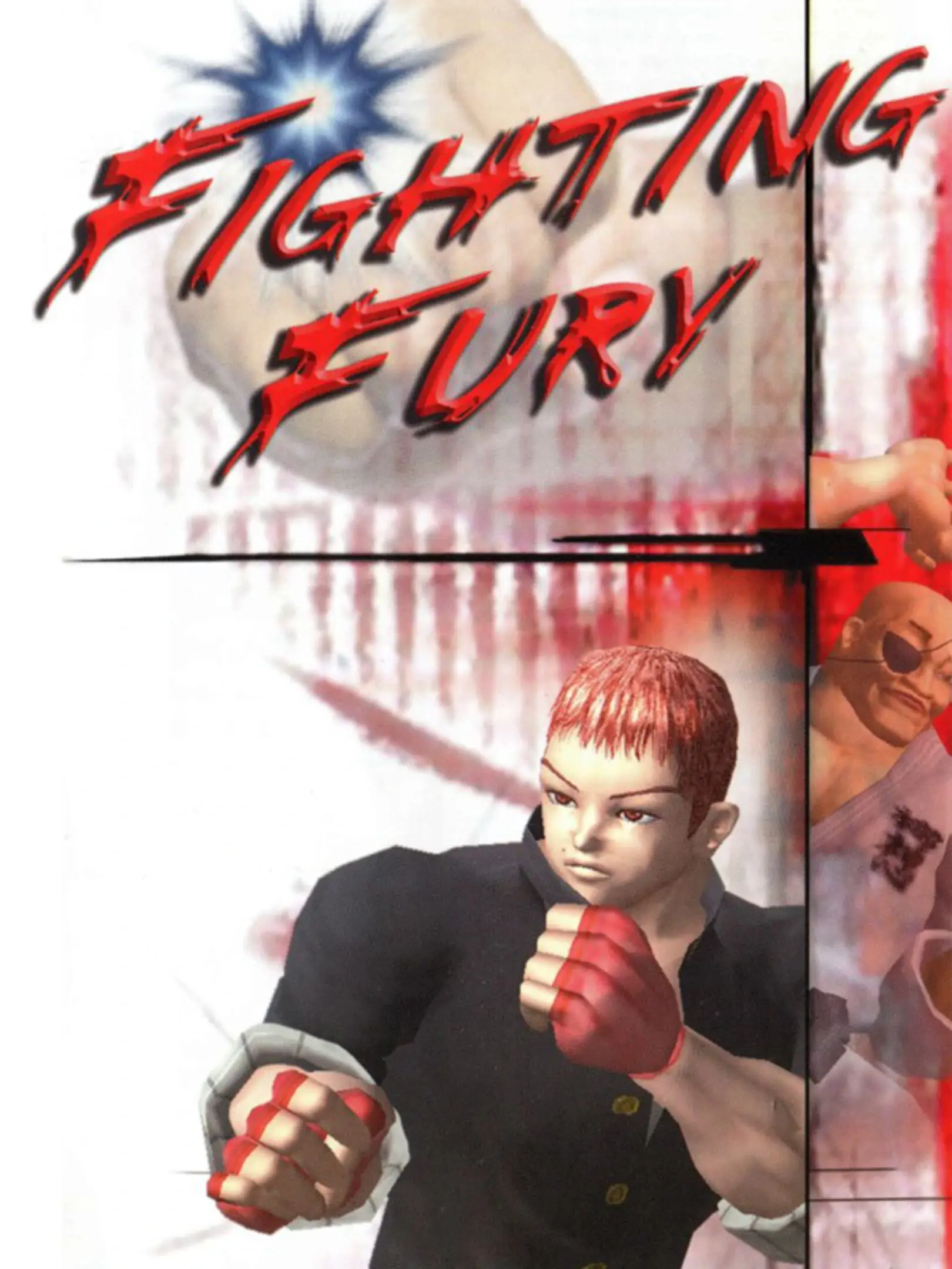 Picture of Fighting Fury