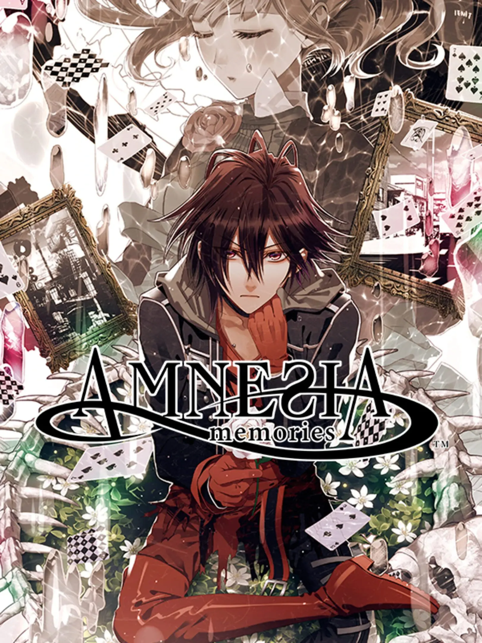 Picture of Amnesia memories