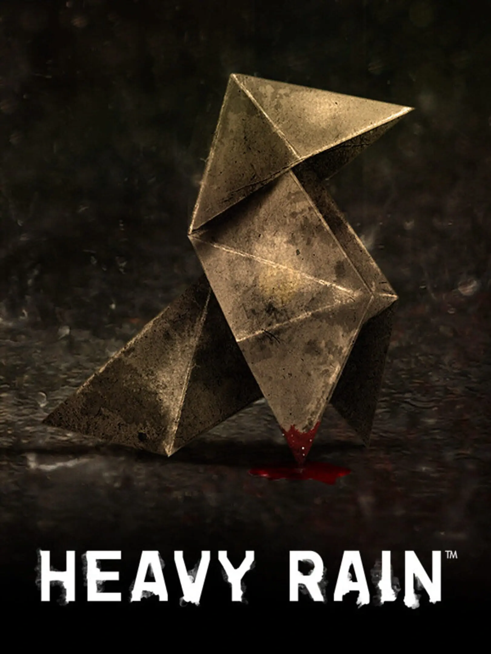 Picture of Heavy Rain