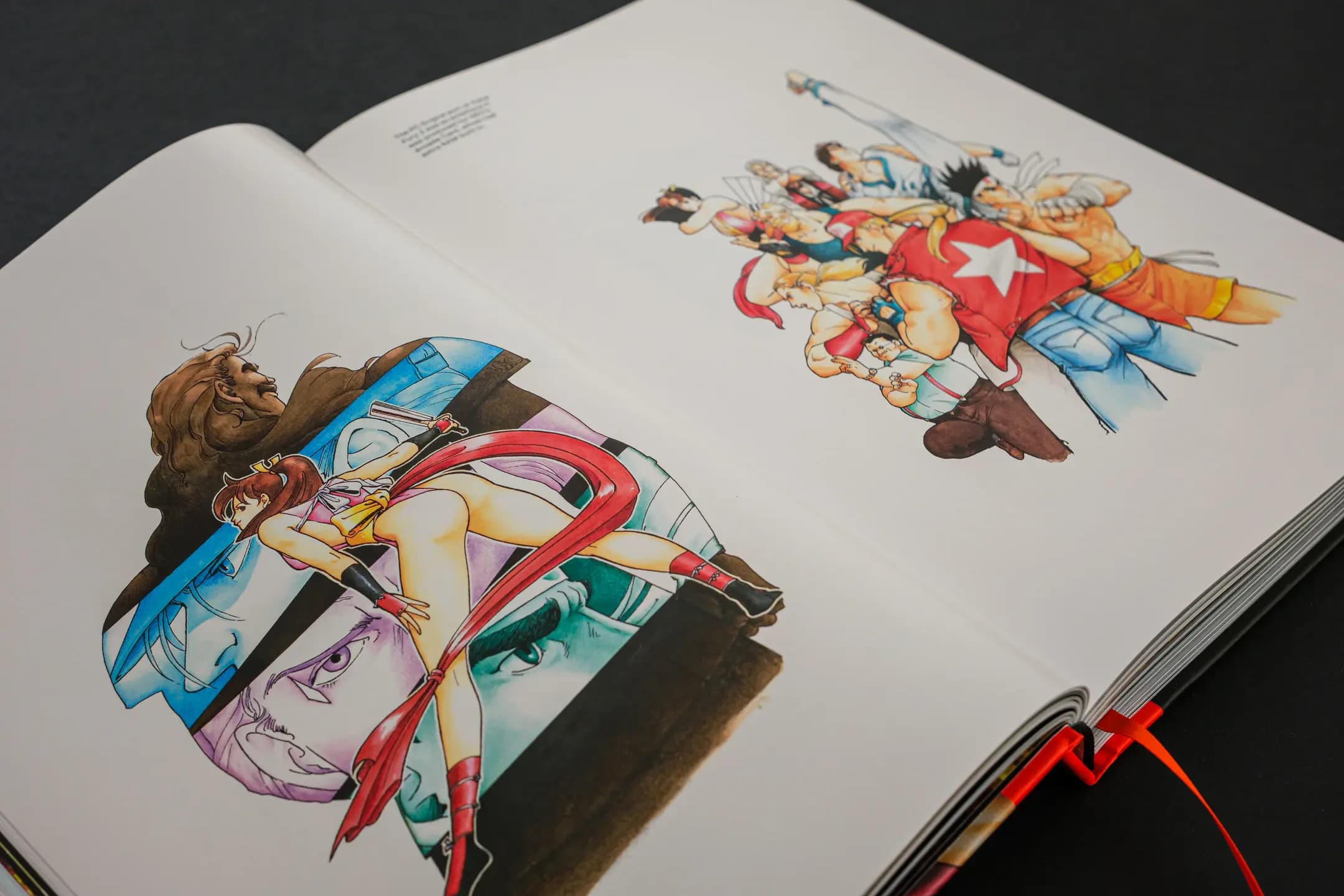 Picture of Fatal Fury/Garou Densetsu: The Ultimate History 10