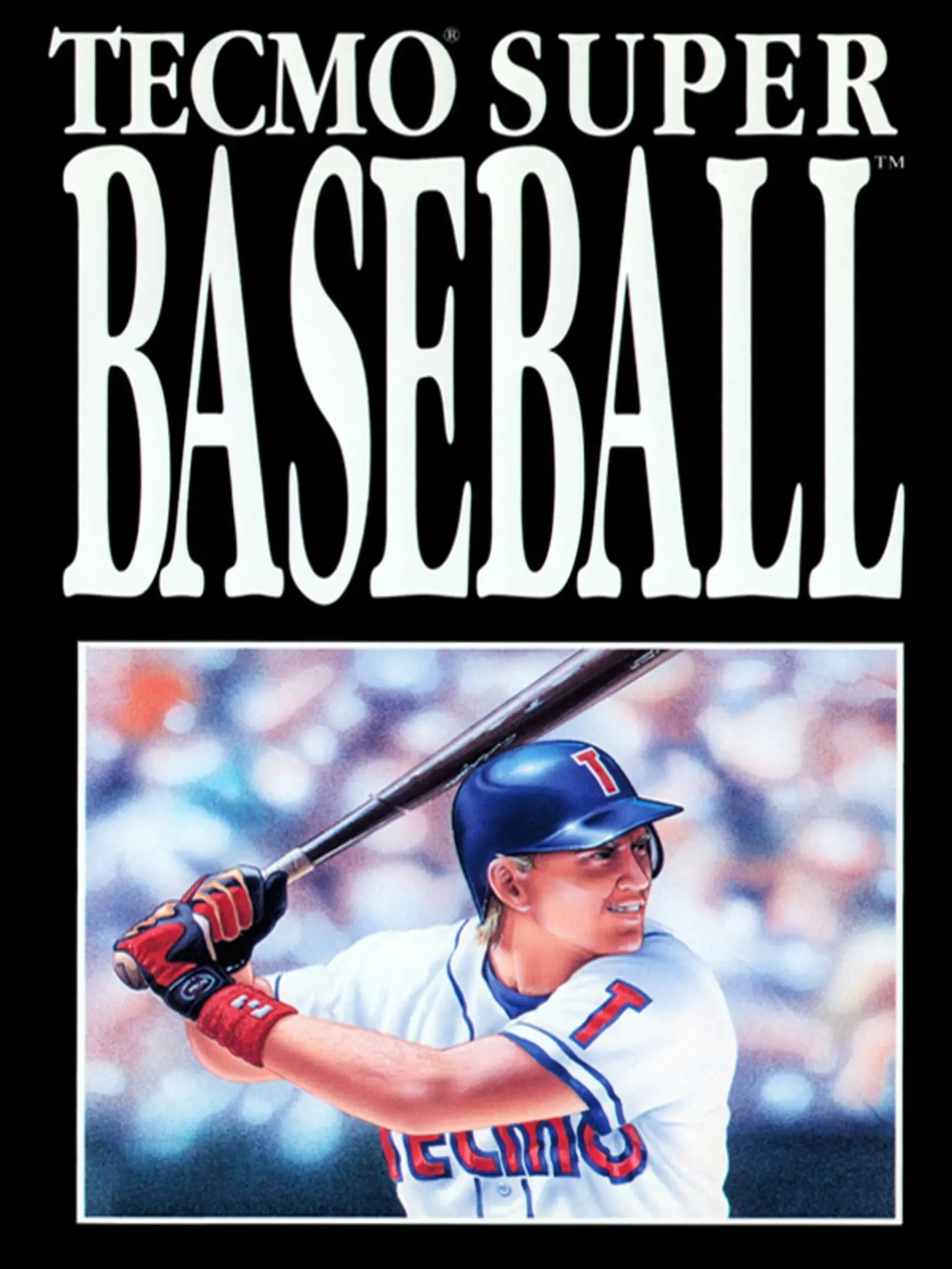 Picture of Tecmo Super Baseball
