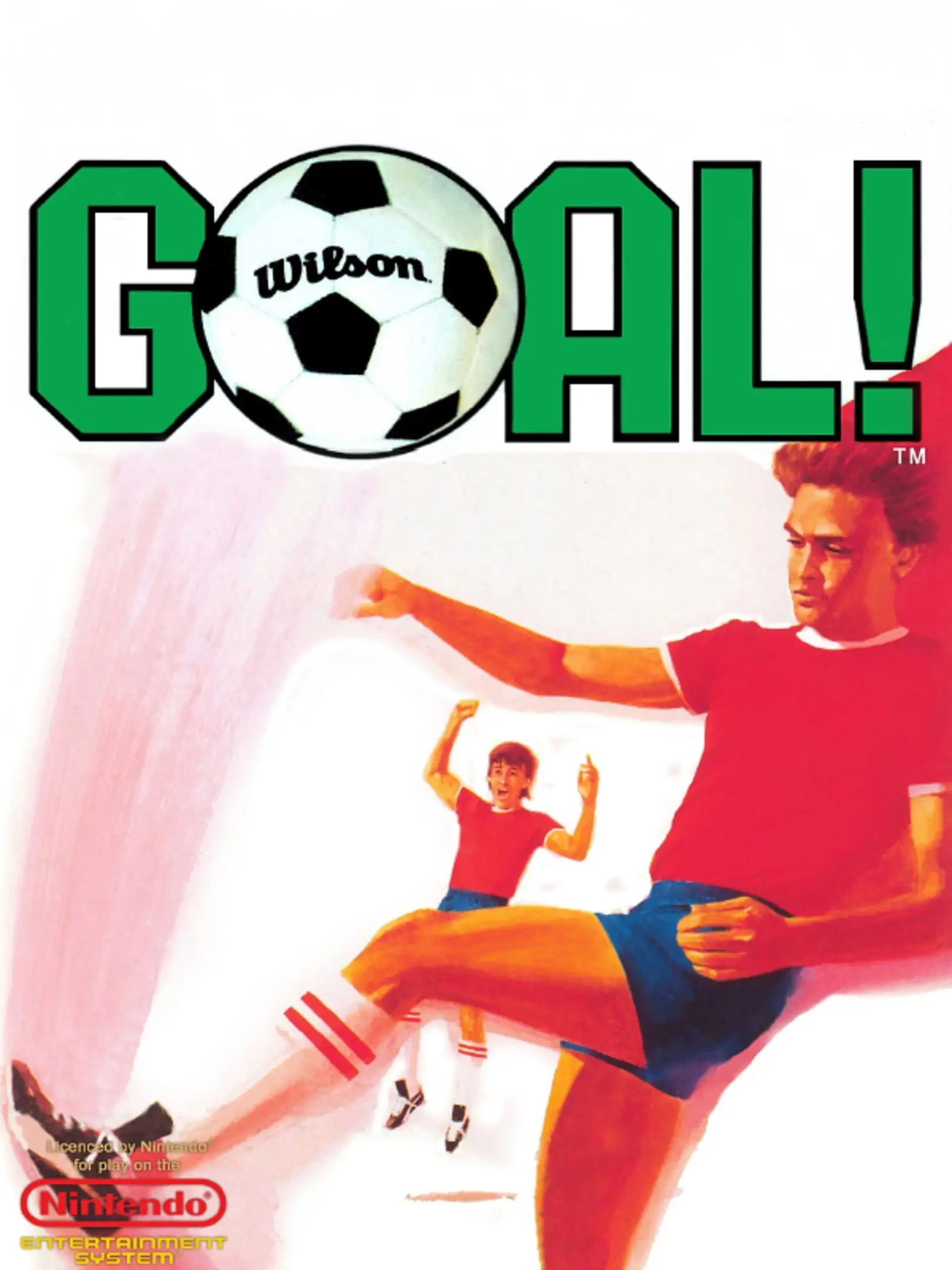Picture of Goal!!