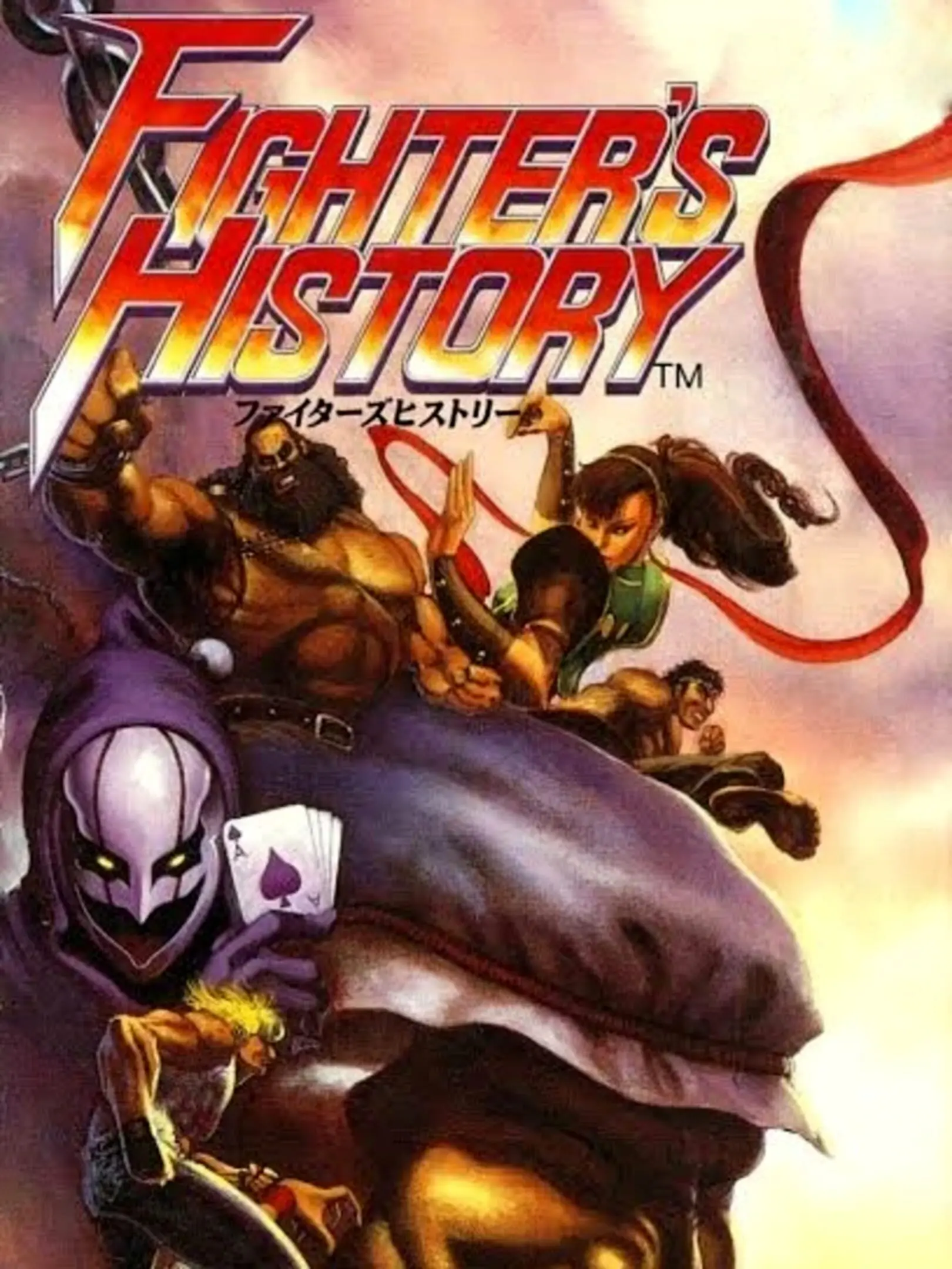 Picture of Fighter's History