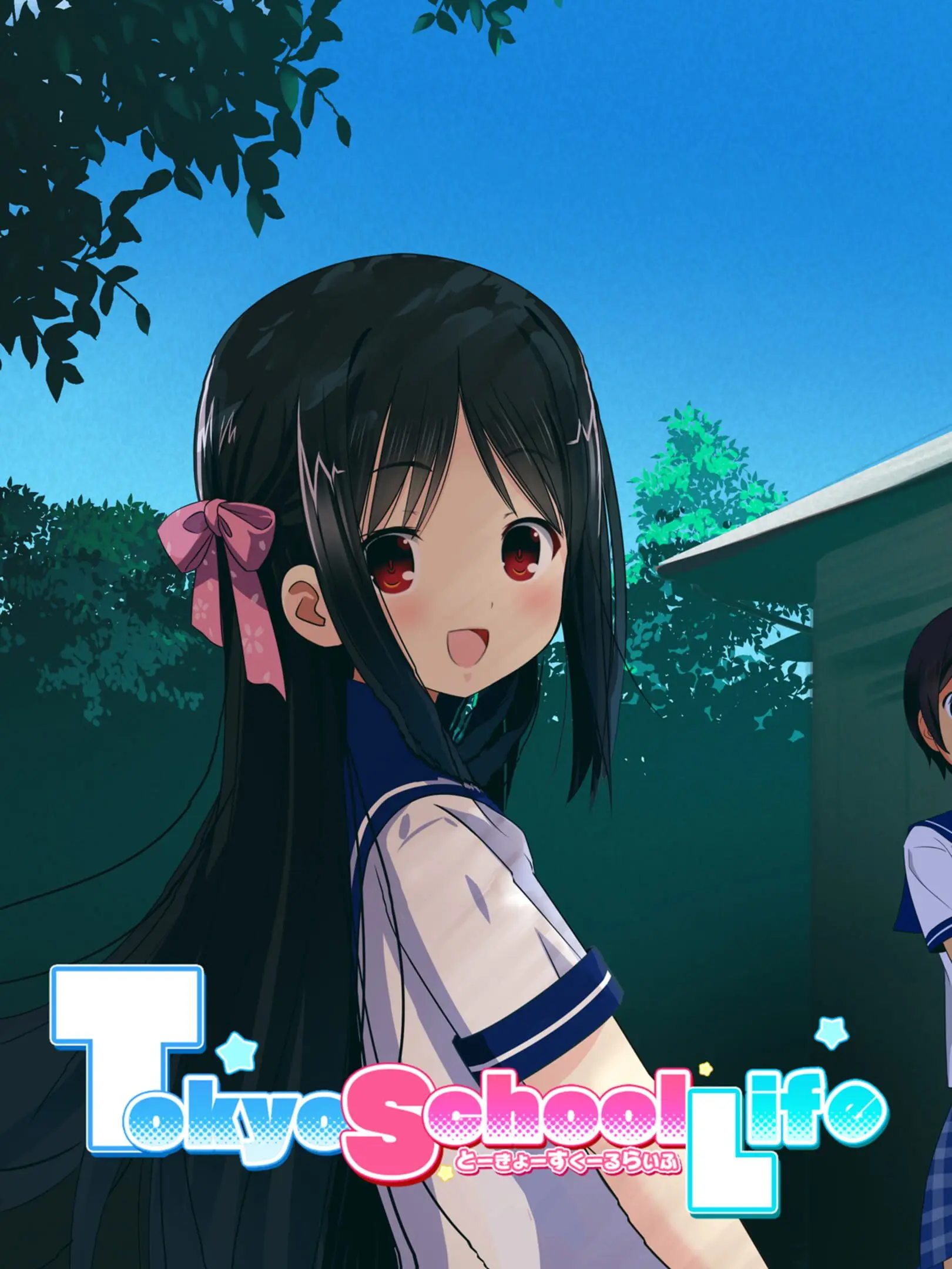 Picture of Tokyo School Life