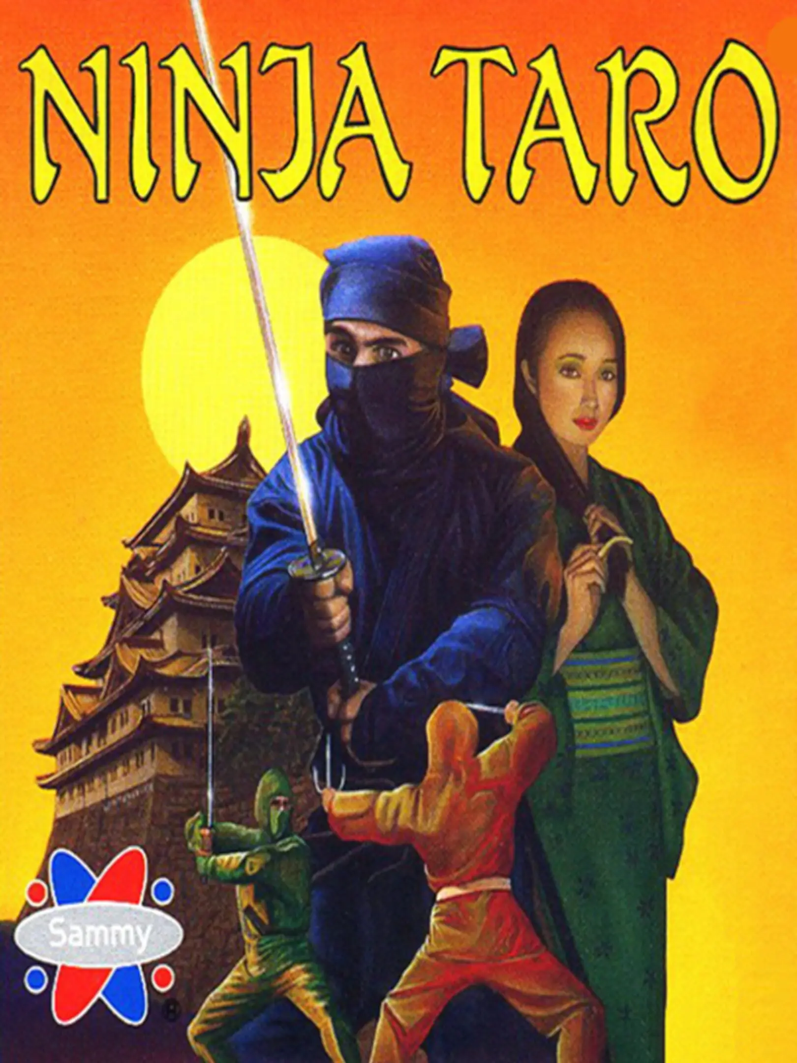 Picture of Ninja Taro