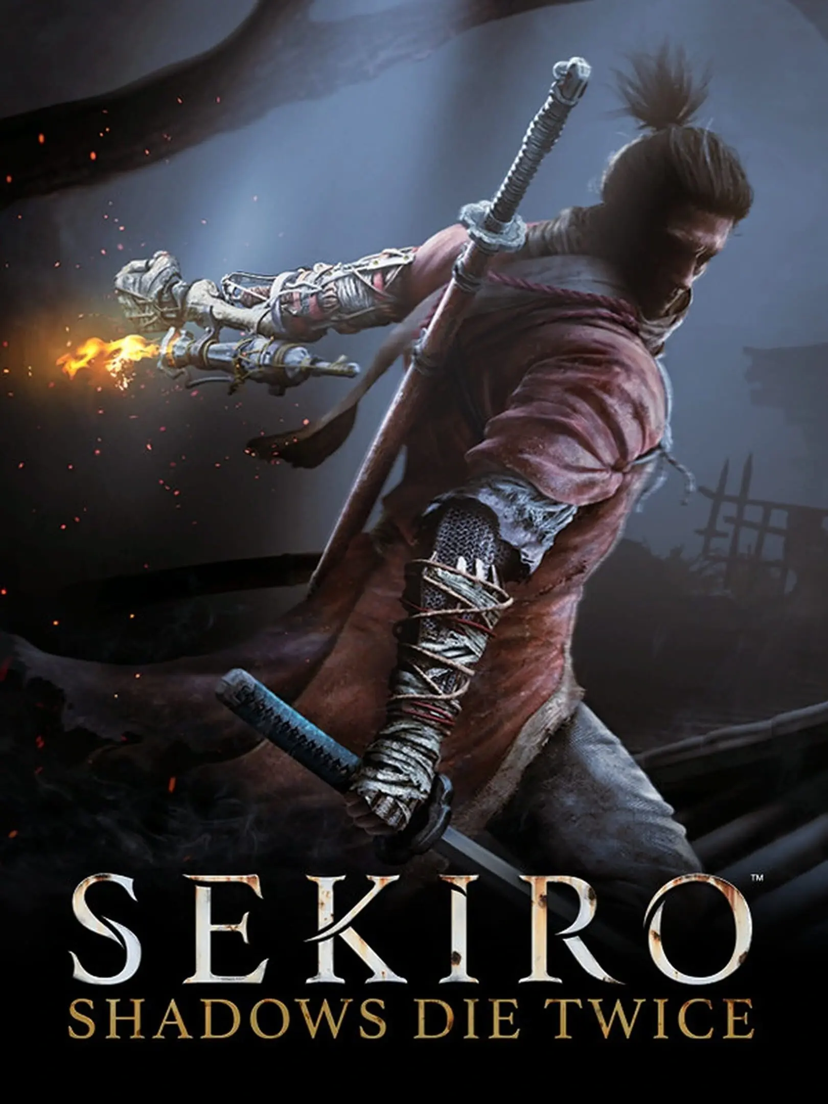 Picture of Sekiro: Shadows Die Twice
