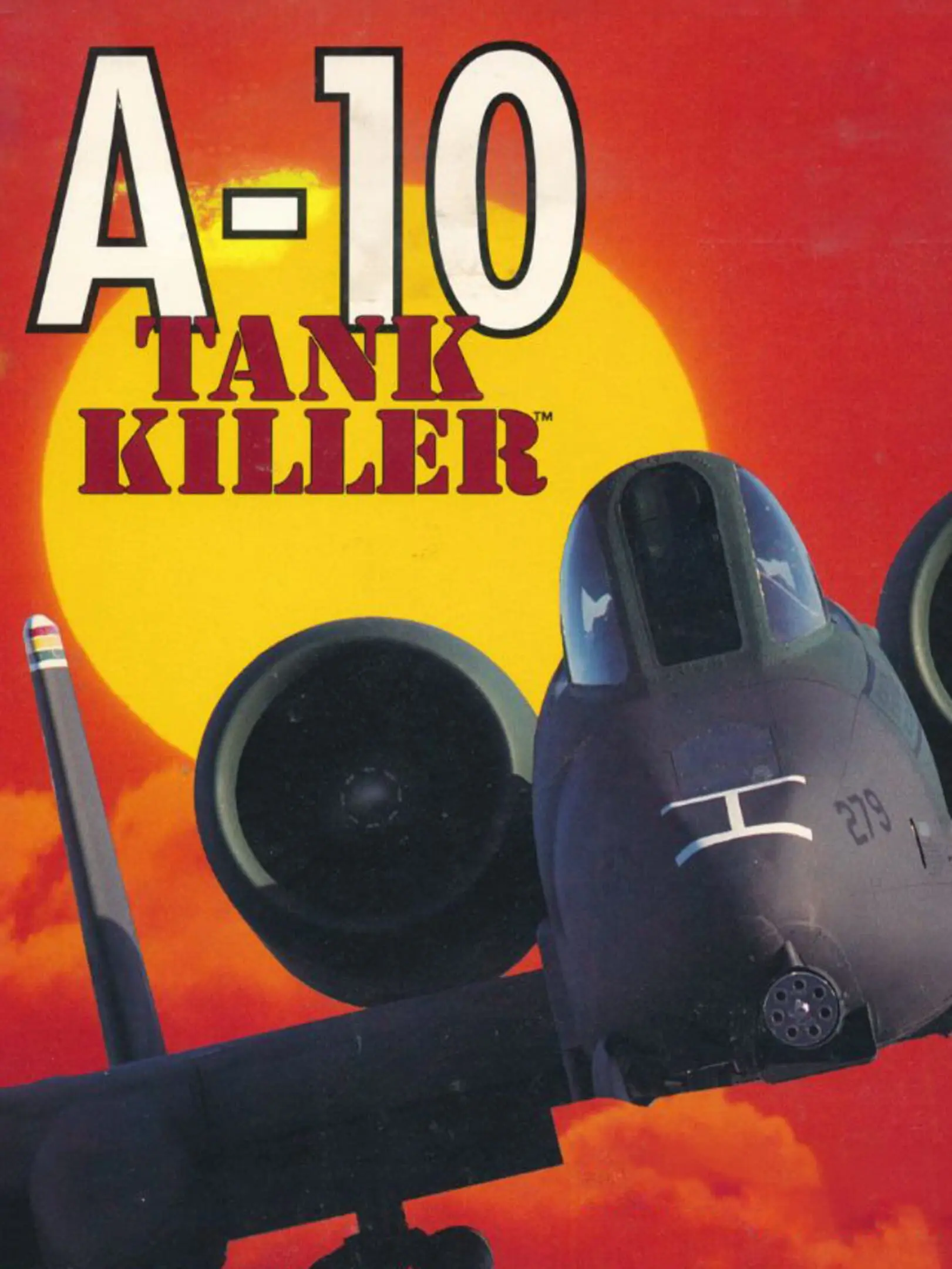 Picture of A-10 Tank Killer (2)