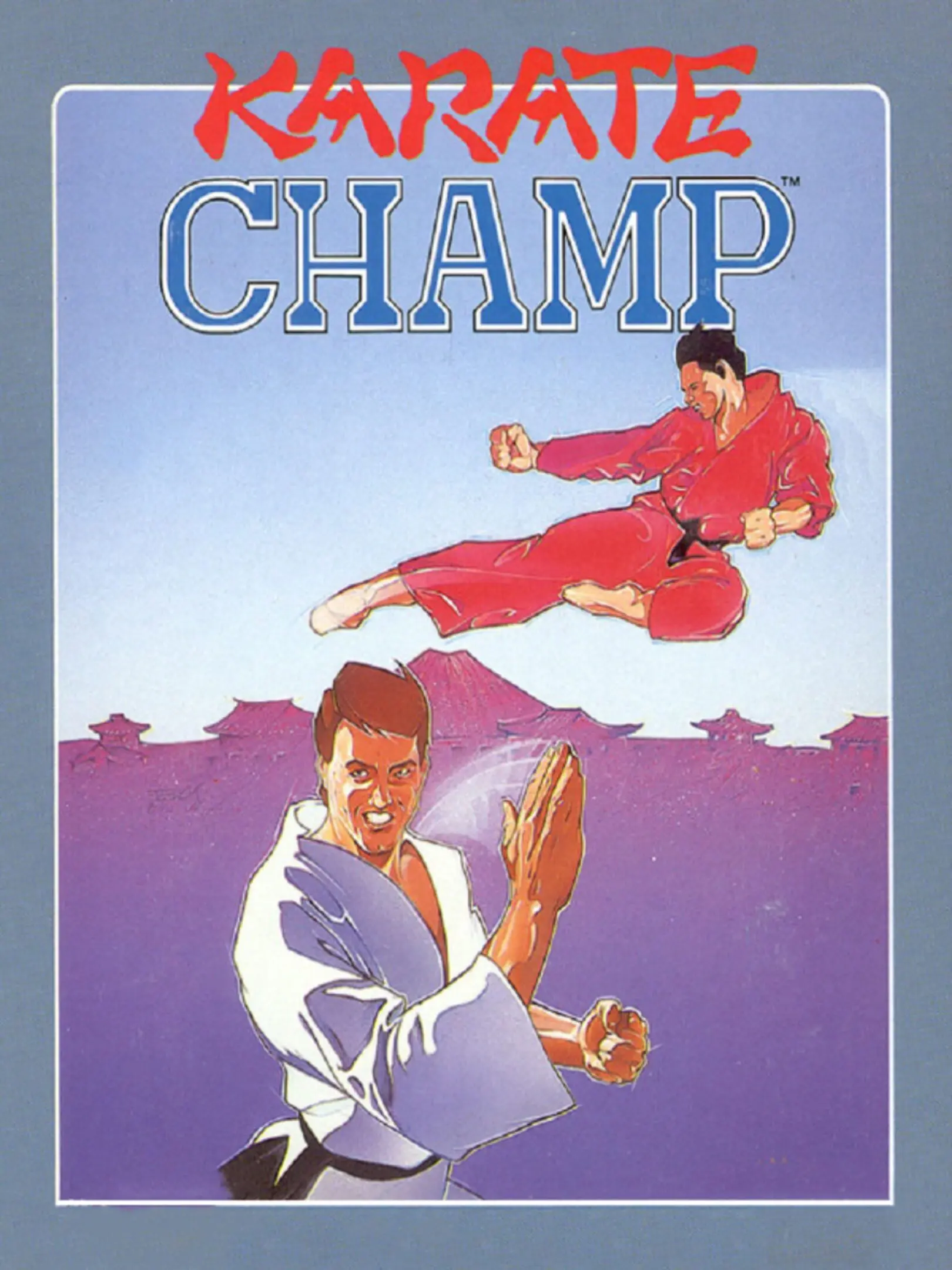 Picture of Karate Champ
