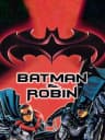 Picture of Batman & Robin