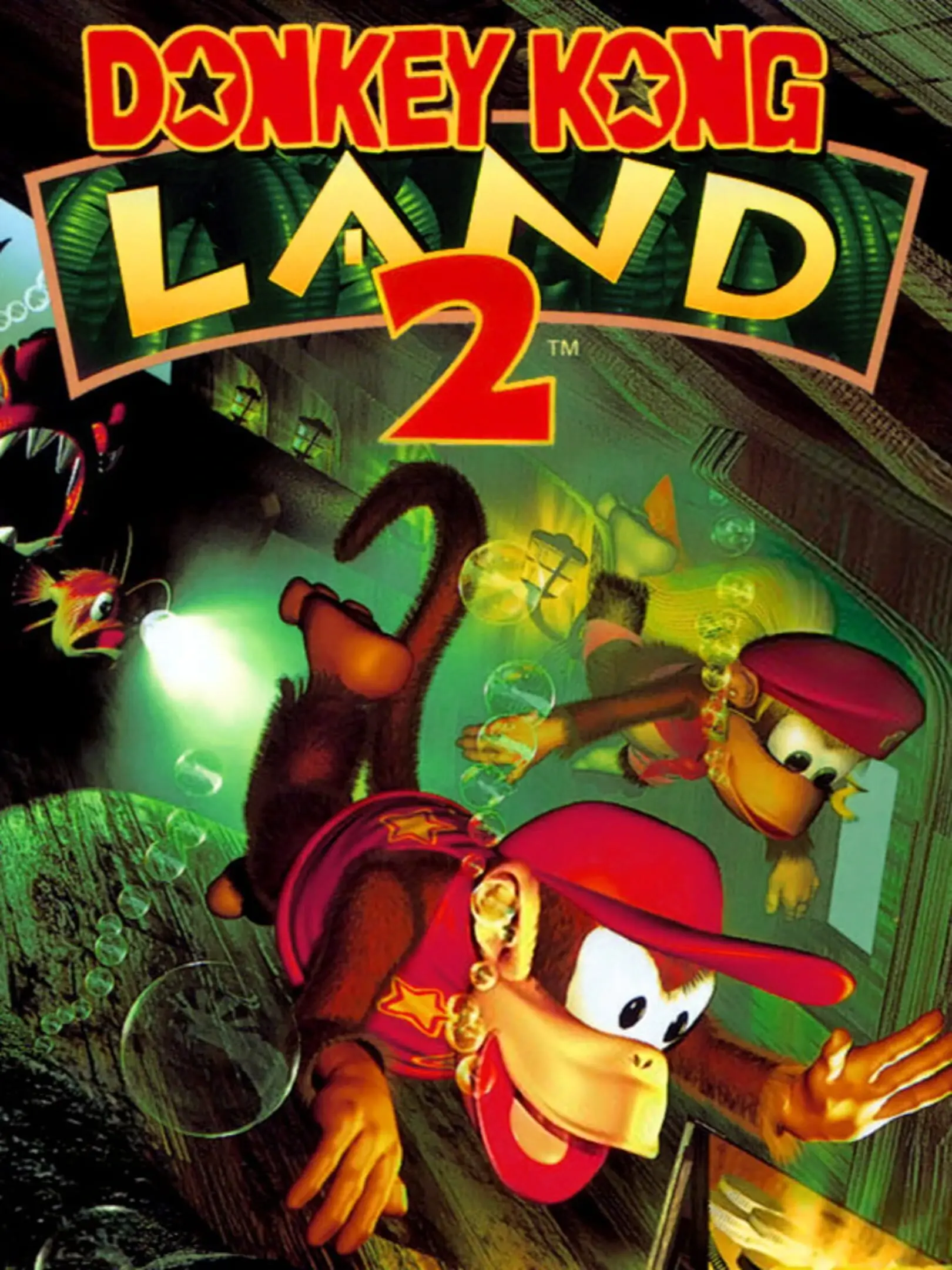 Picture of Donkey Kong Land 2