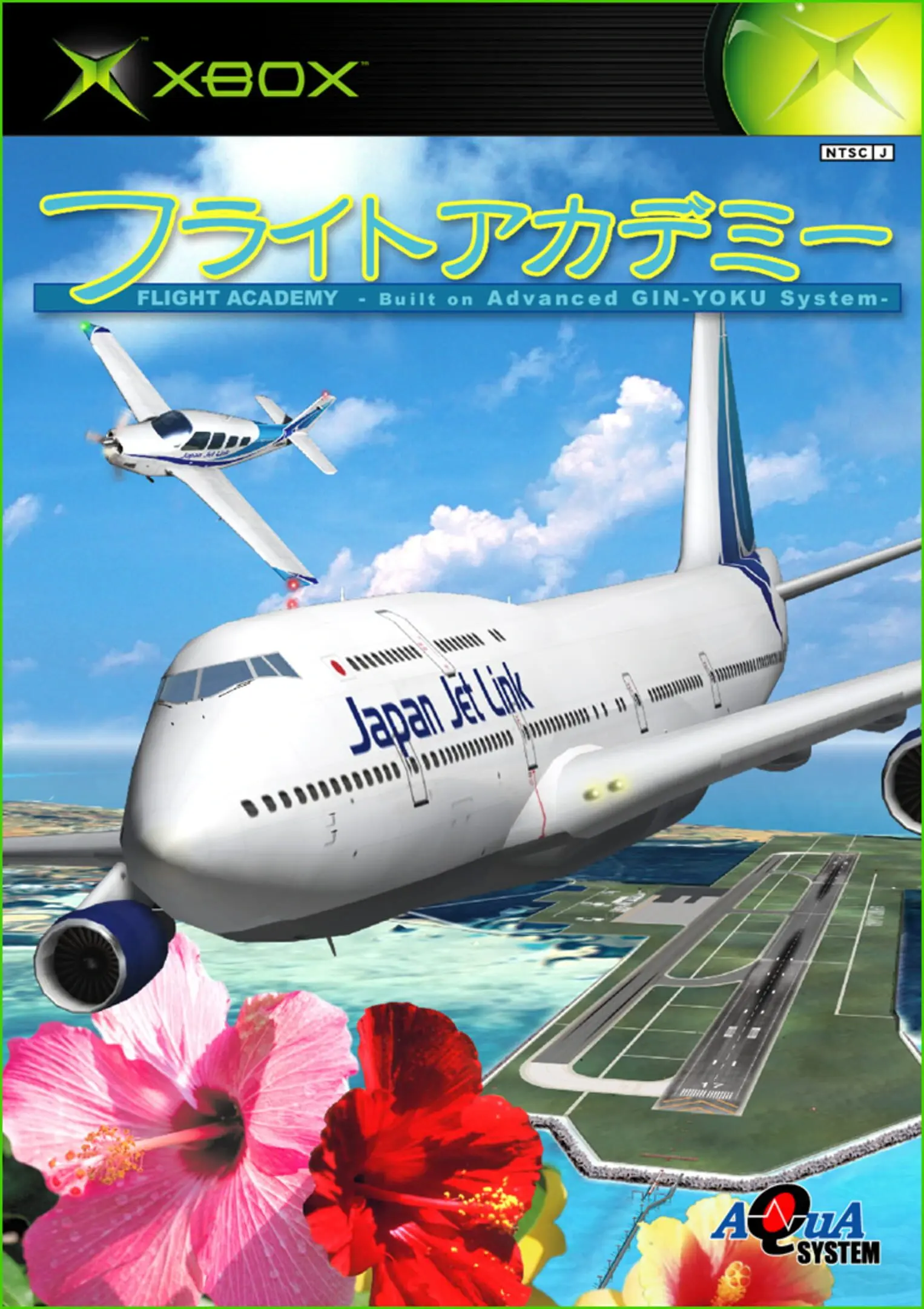 Picture of Flight Academy