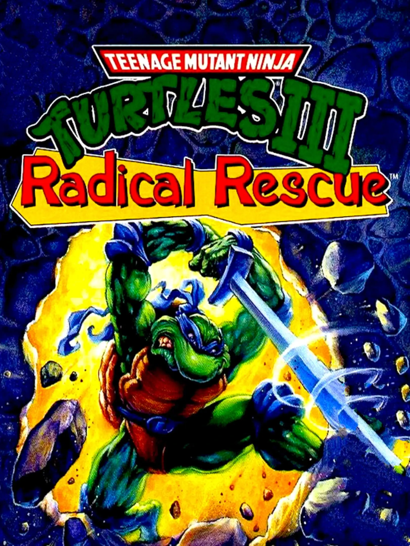 Picture of Teenage Mutant Ninja Turtles III: Radical Rescue