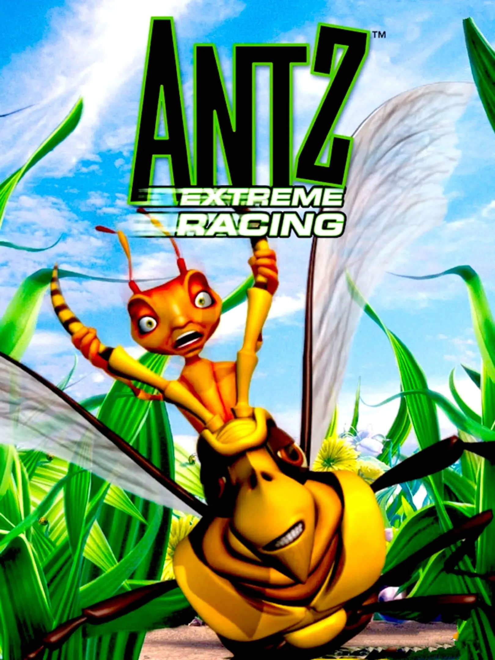 Picture of Antz Extreme Racing