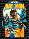 Picture of Batman