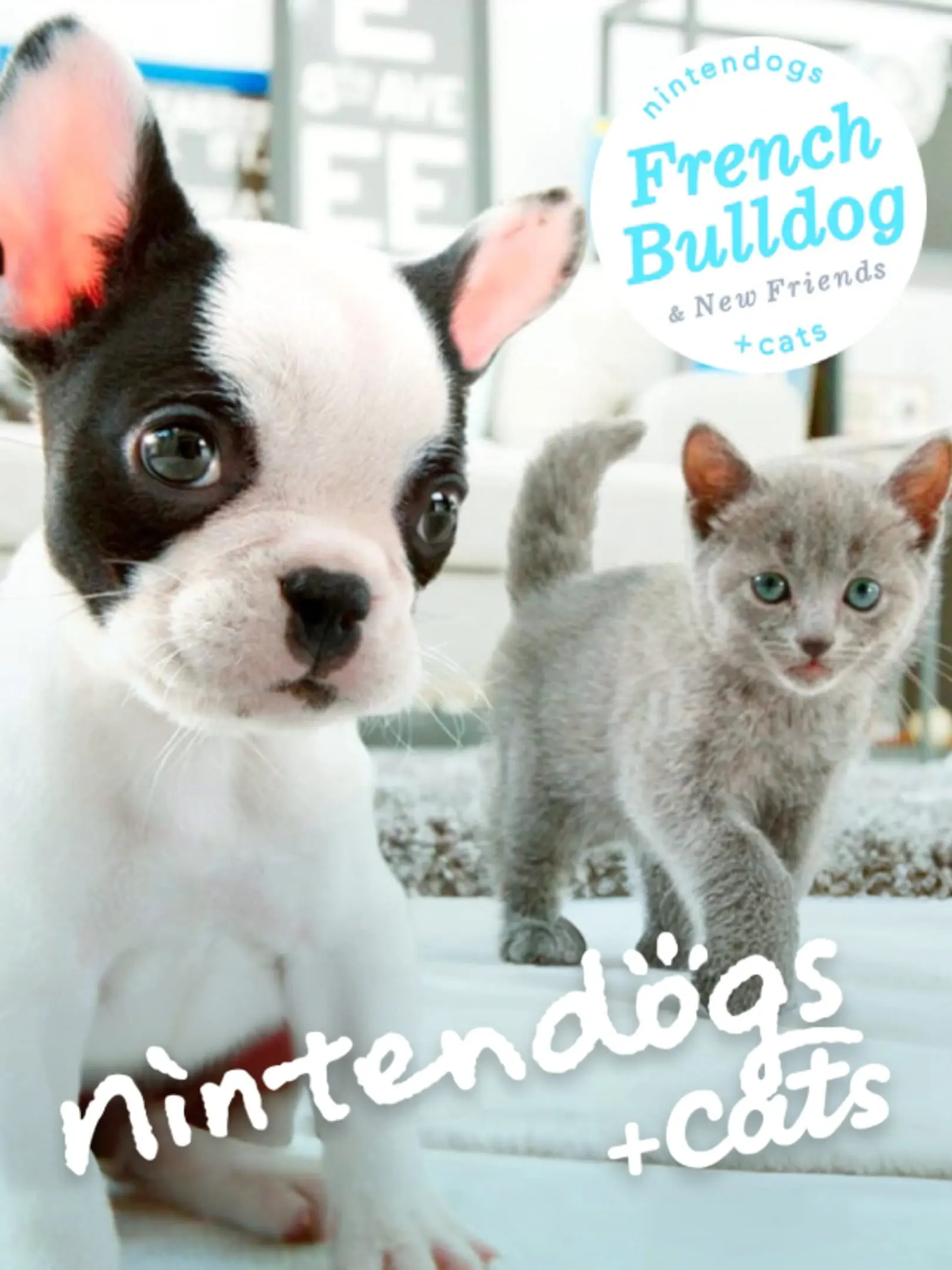 Nintendogs + Cats: Französische Bulldogge & neue Freunde