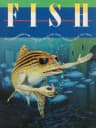 Picture of Fish!