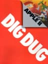 Picture of Dig Dug