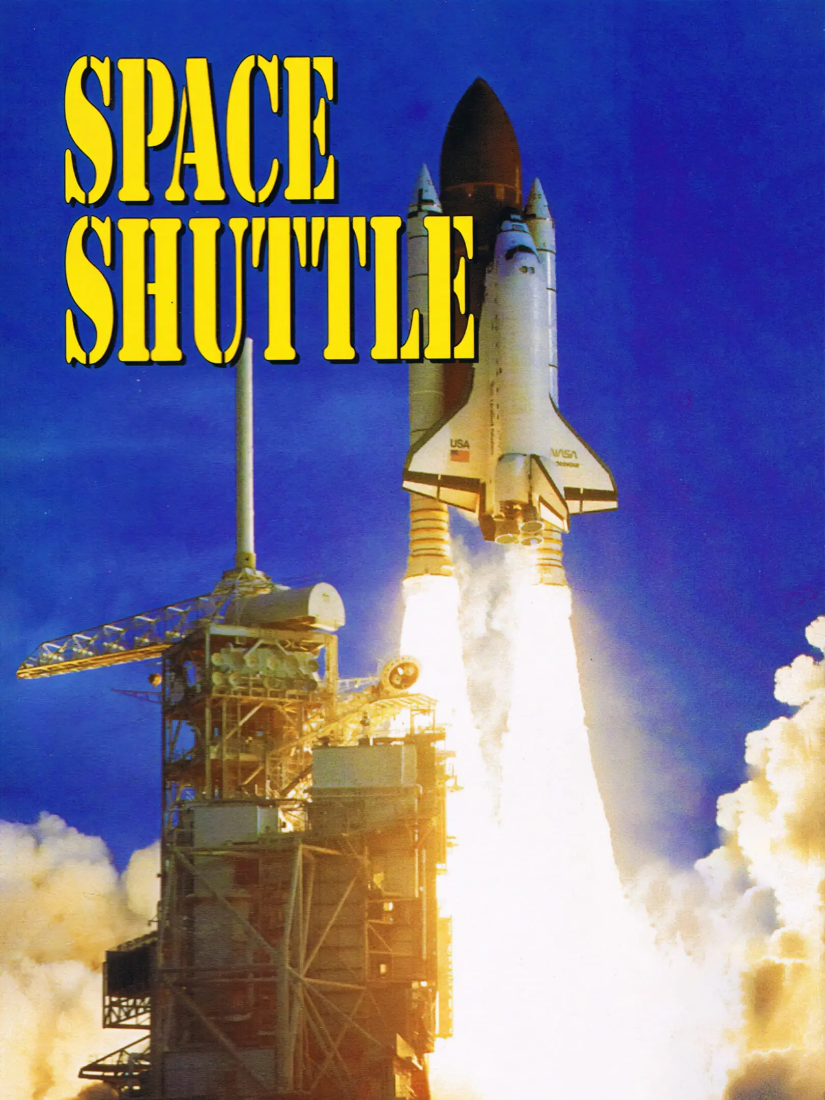 Picture of Space Shuttle