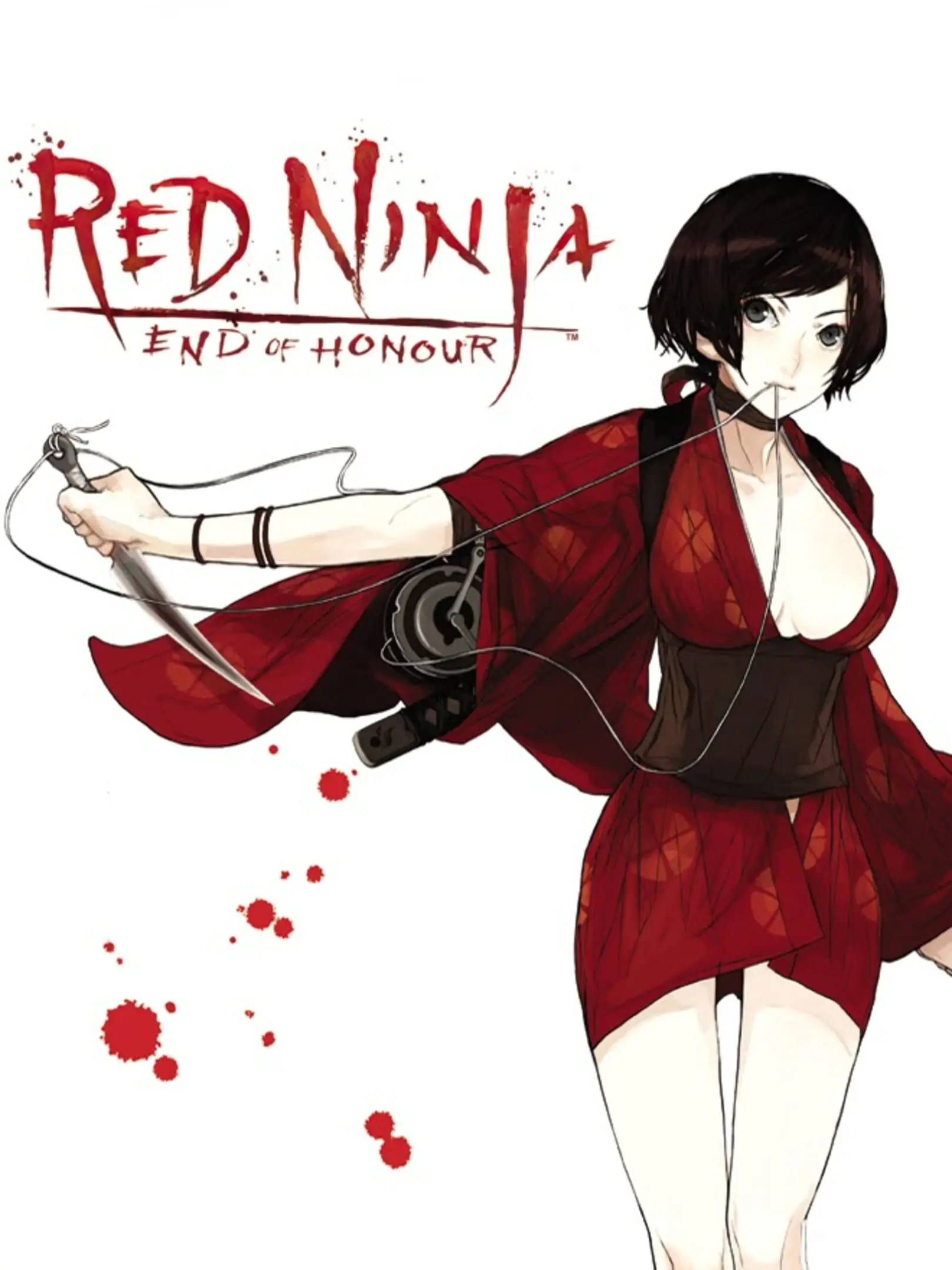 Picture of Red Ninja: End of Honor