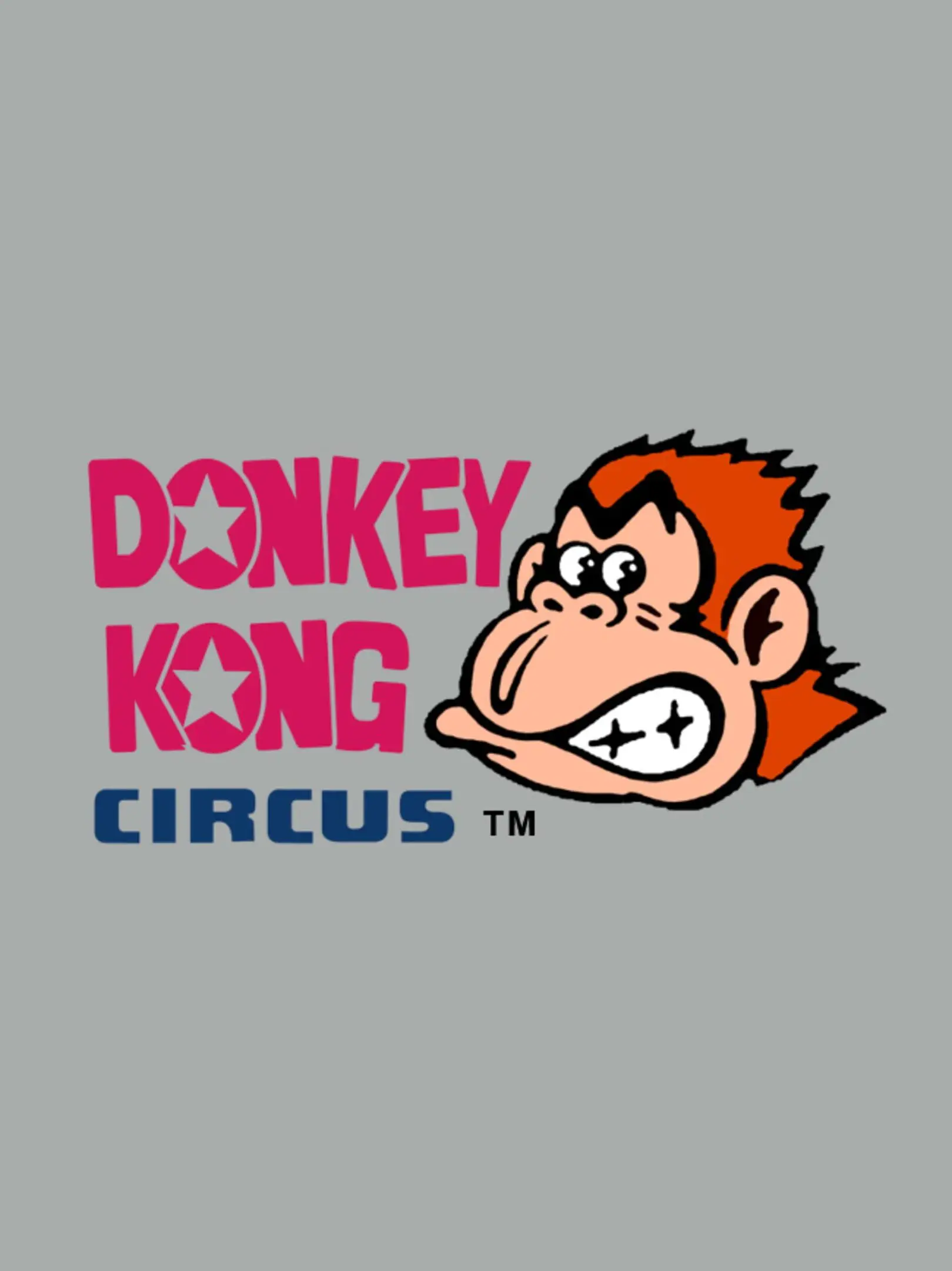 Picture of Donkey Kong Circus