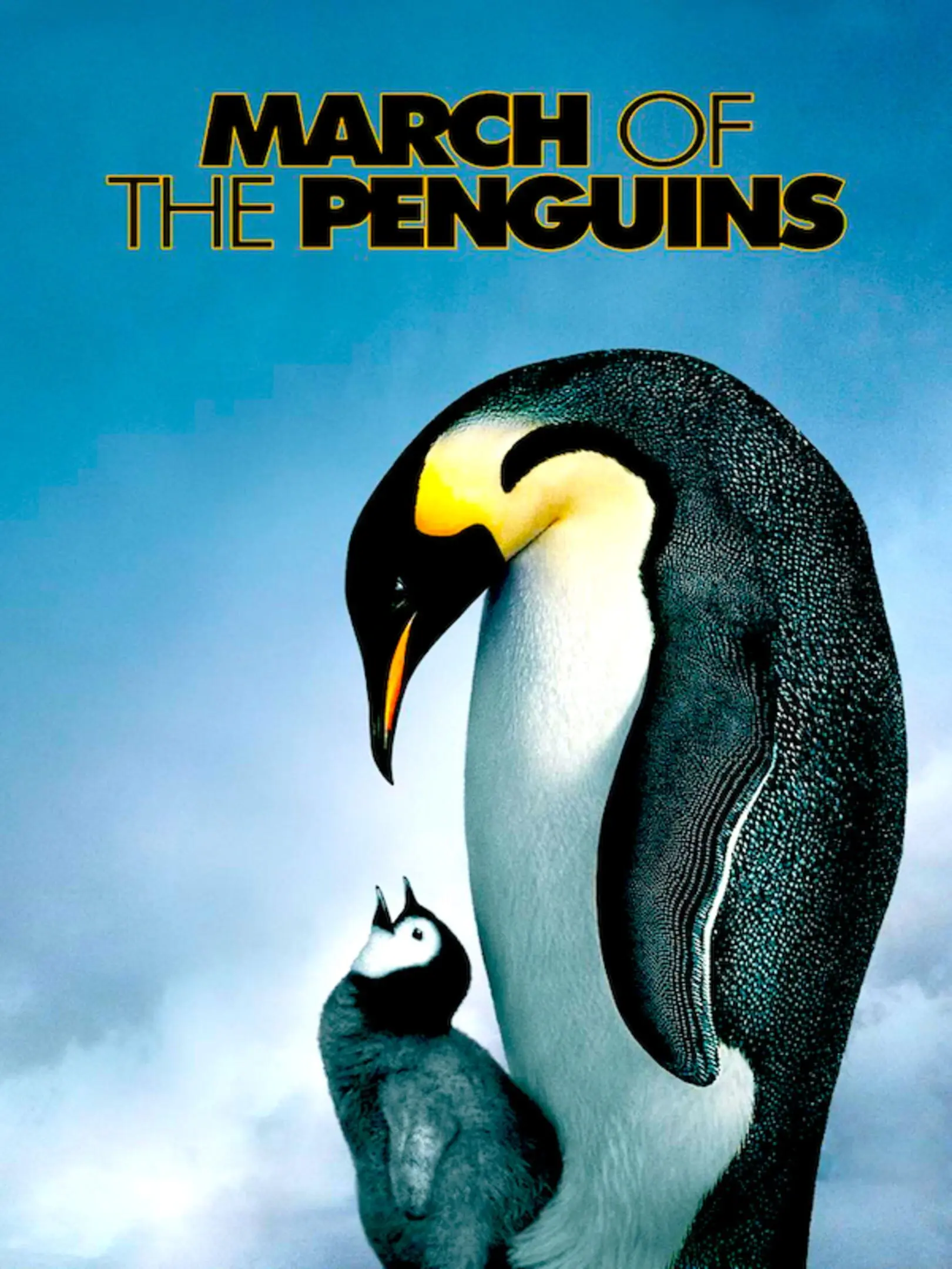 Picture of March of the Penguins