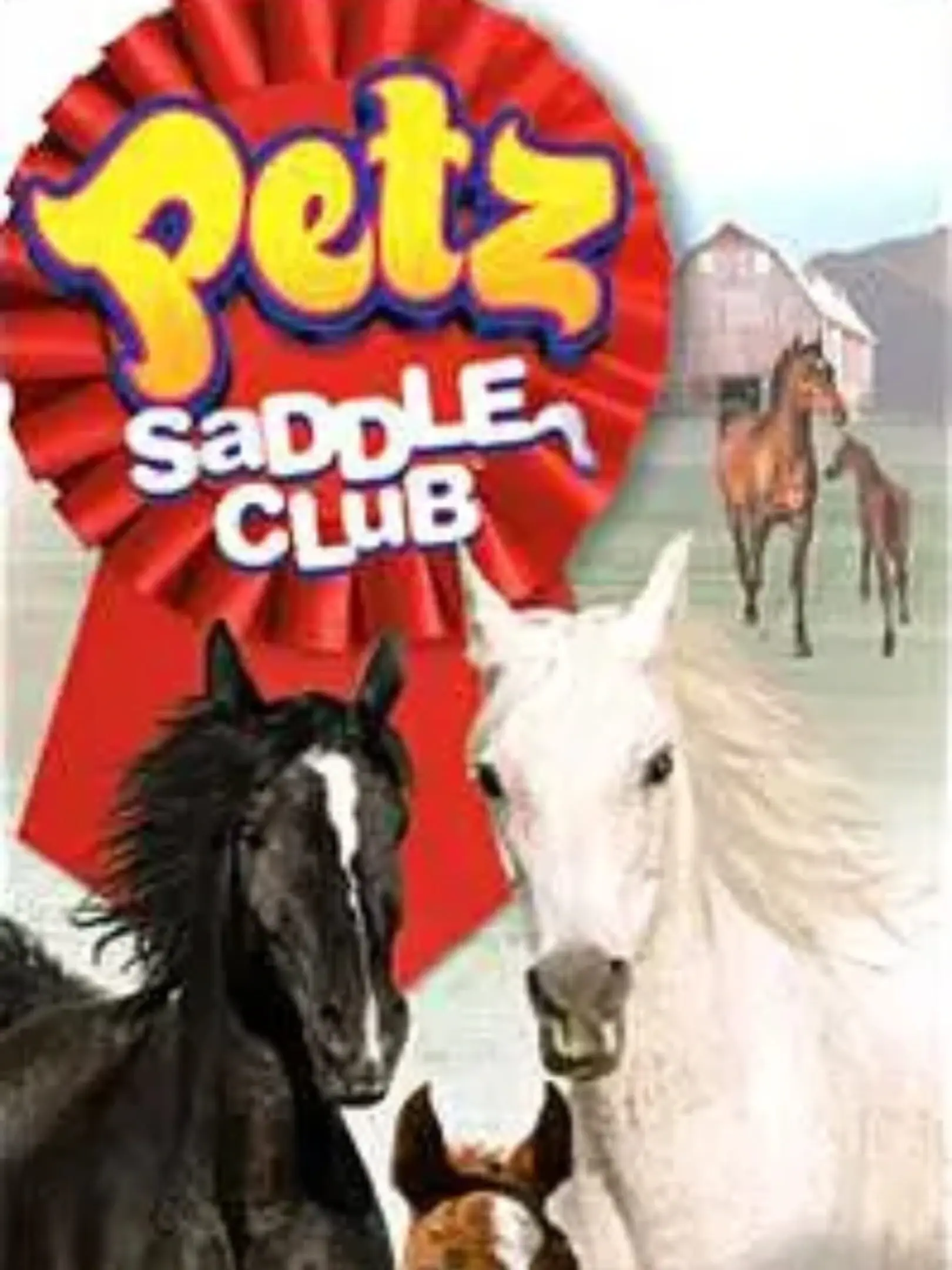 Picture of Petz: Saddle Club
