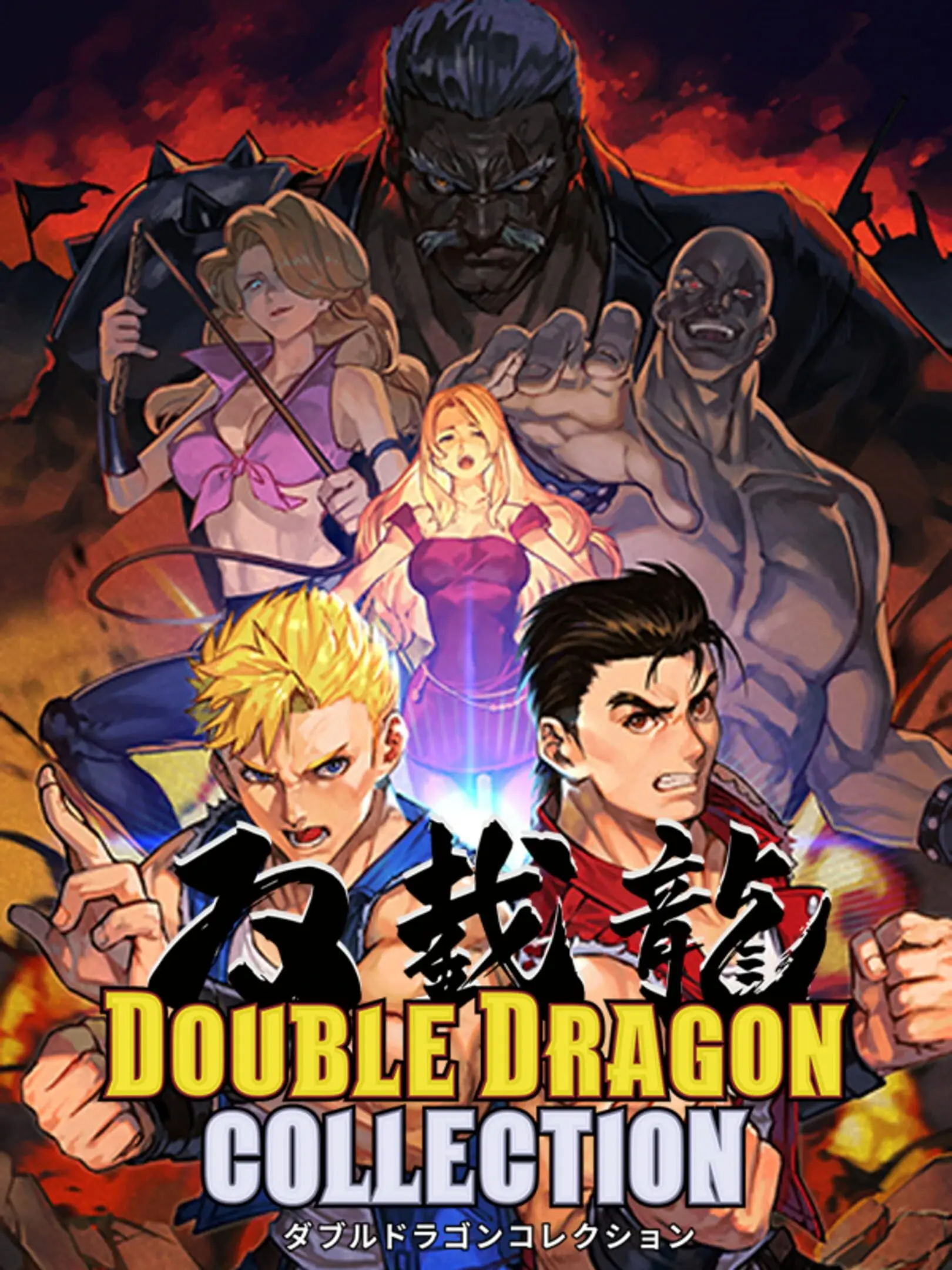 Picture of Double Dragon Collection (2)