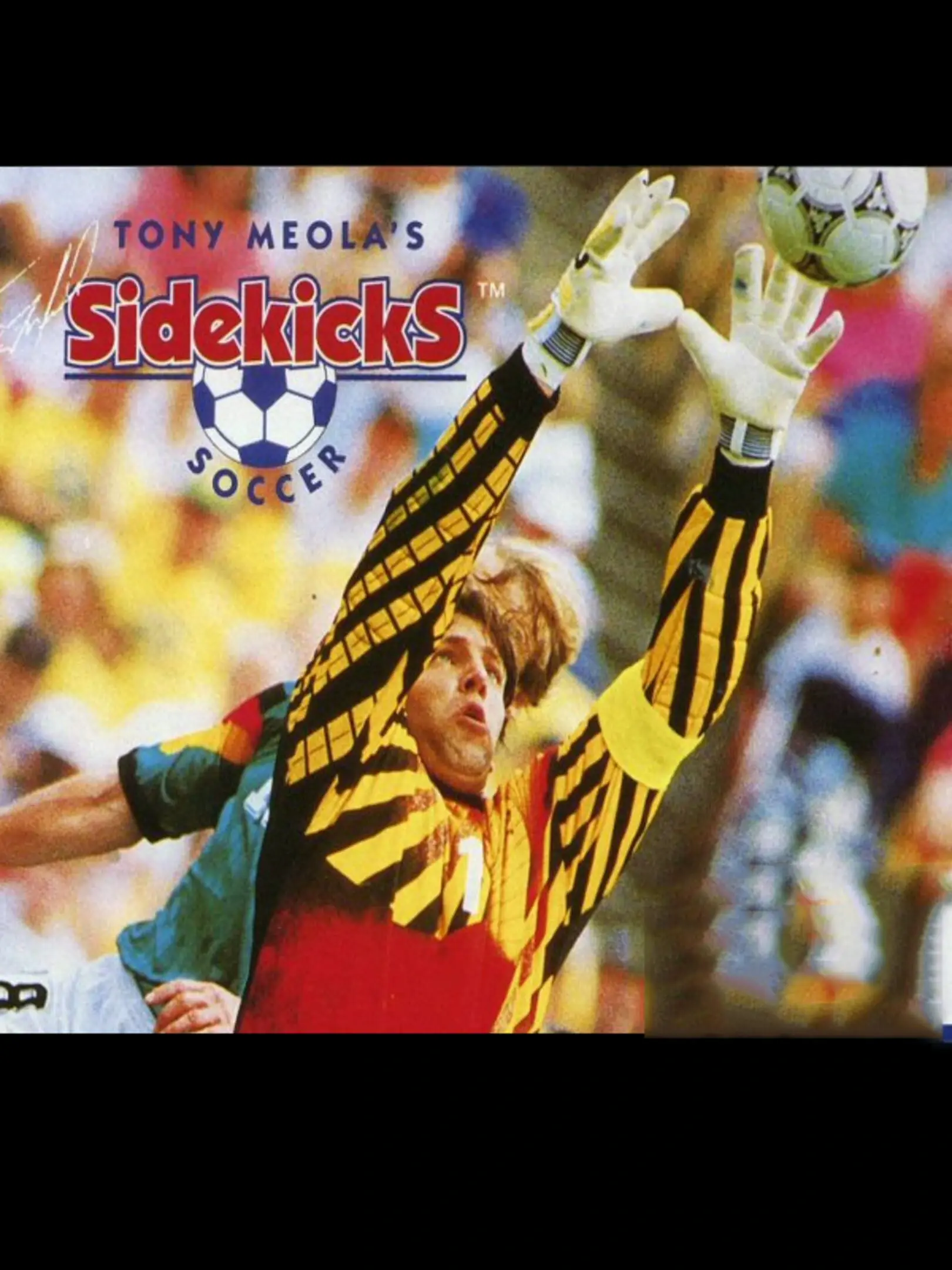 Picture of Tony Meola's Sidekicks Soccer